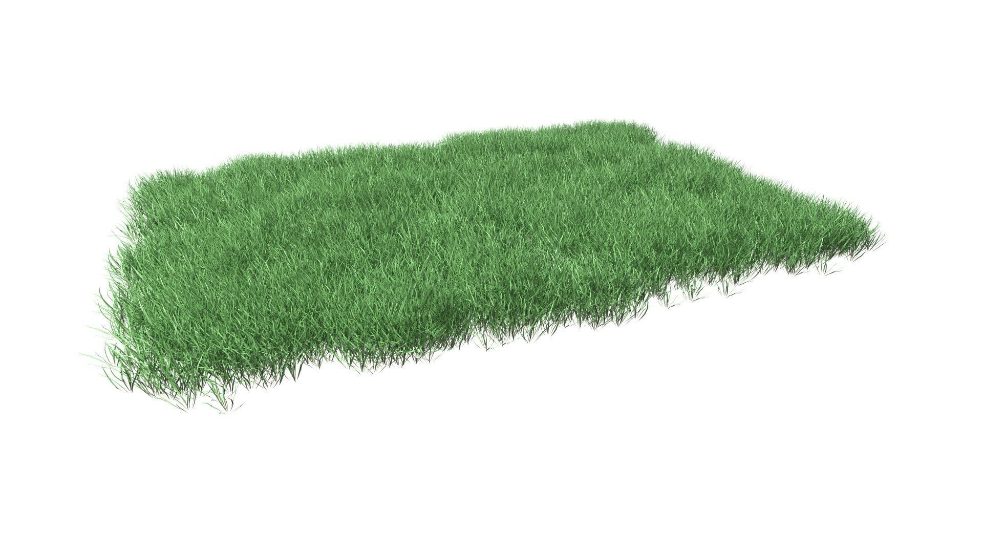 Lawn Grass Model for Exteriors 3D 3D model_12