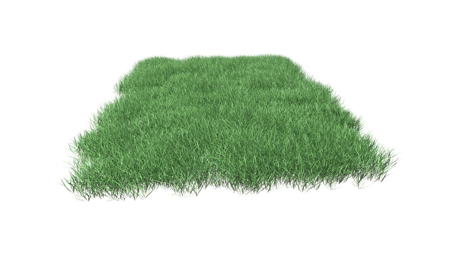 Lawn Grass Model for Exteriors 3D 3D model_81