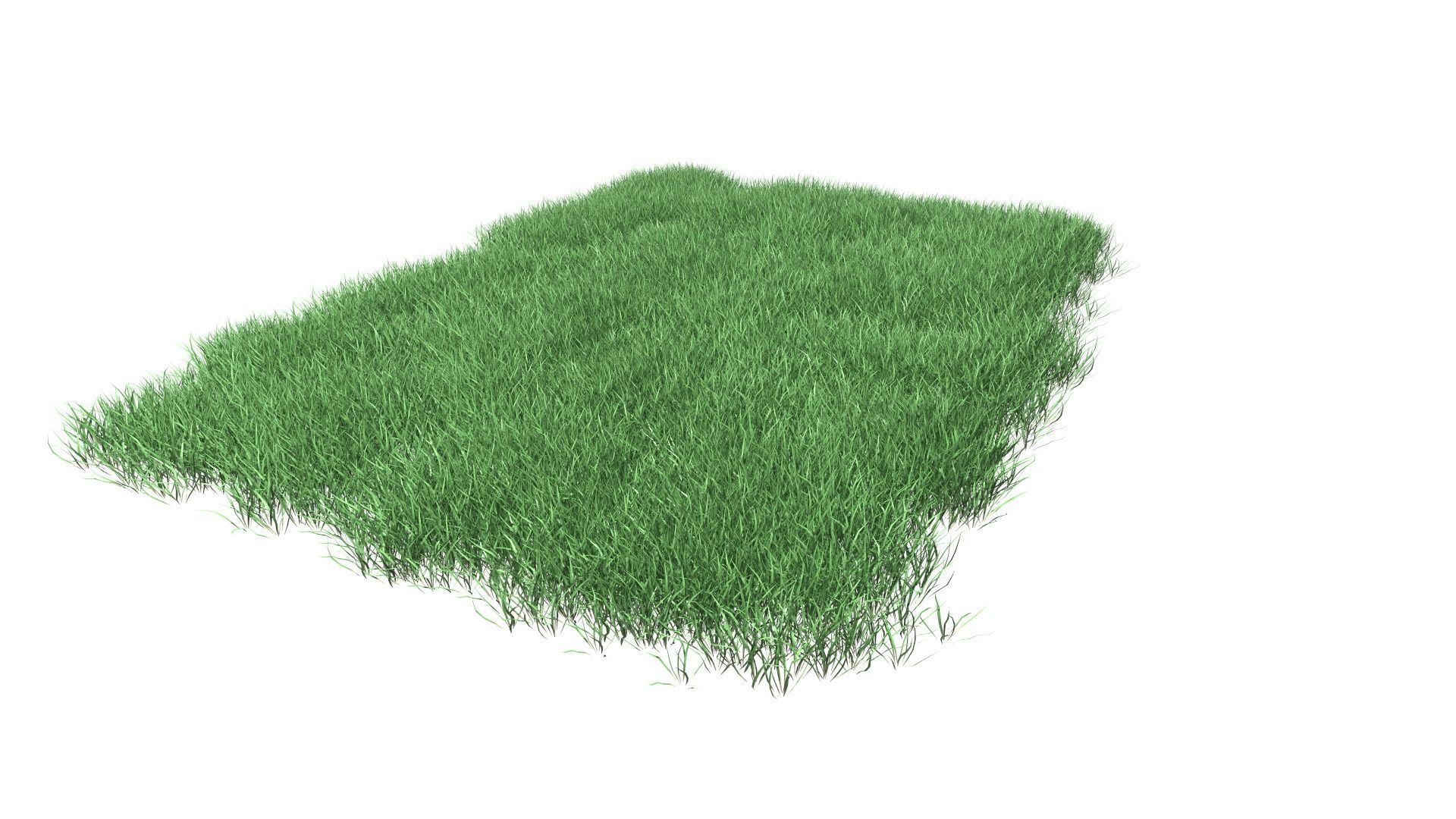 Lawn Grass Model for Exteriors 3D 3D model_46
