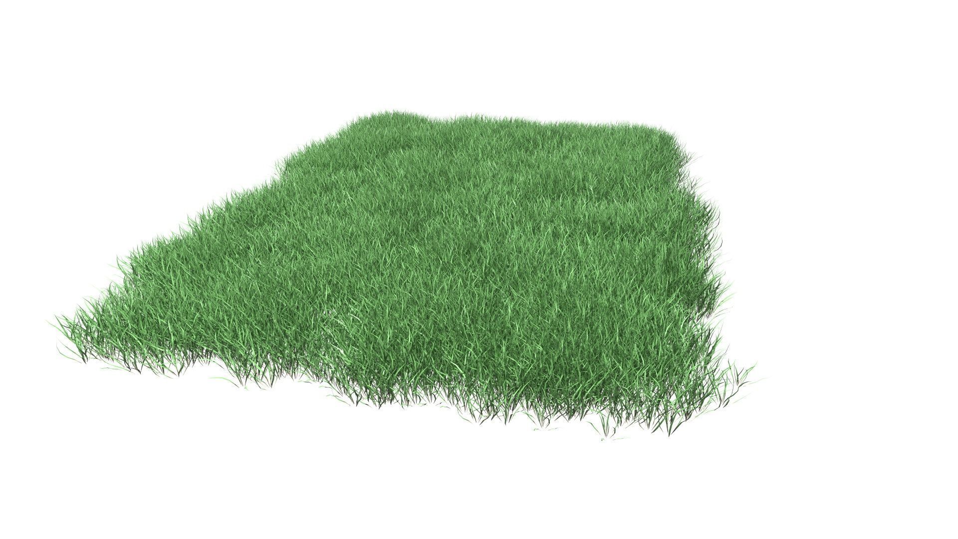 Lawn Grass Model for Exteriors 3D 3D model_58