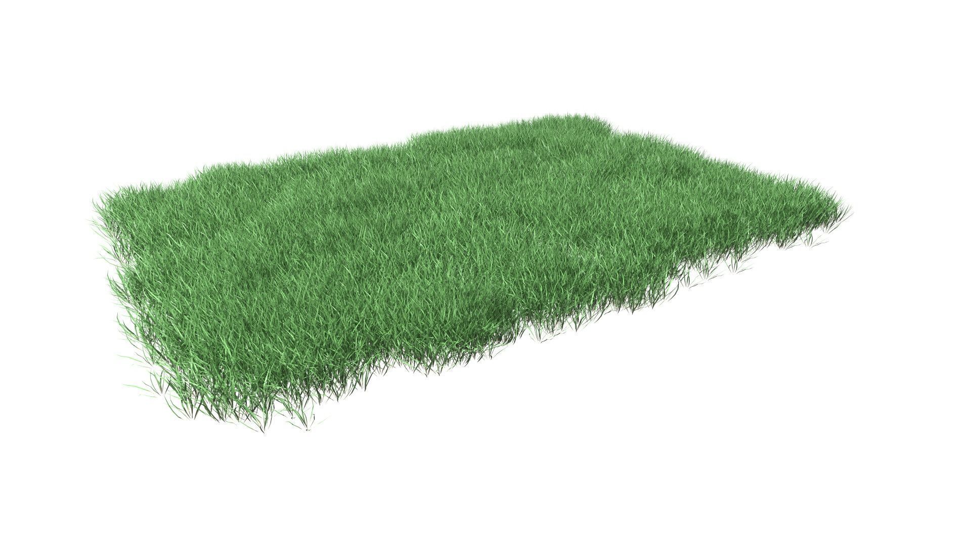 Lawn Grass Model for Exteriors 3D 3D model_20