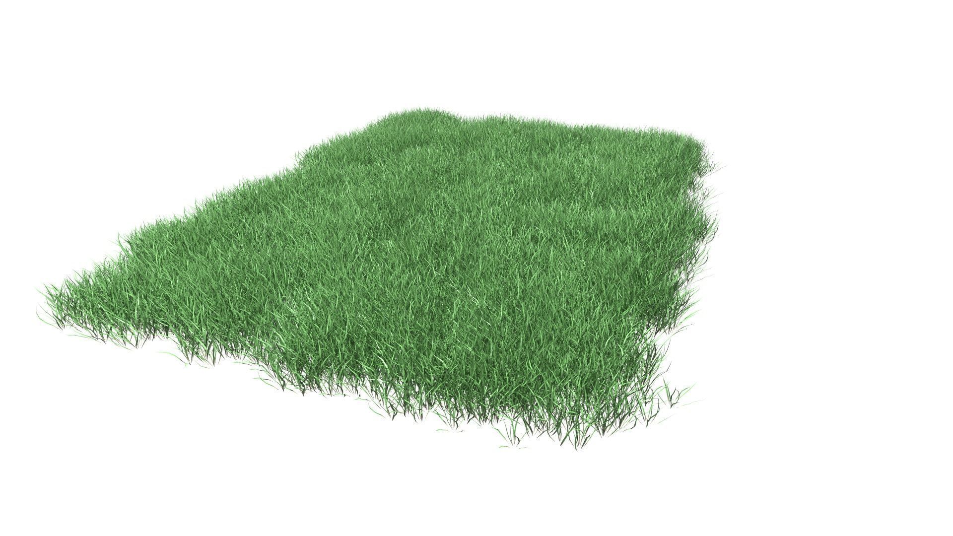 Lawn Grass Model for Exteriors 3D 3D model_51