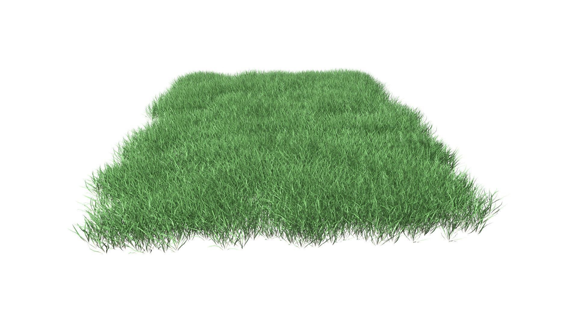 Lawn Grass Model for Exteriors 3D 3D model_79