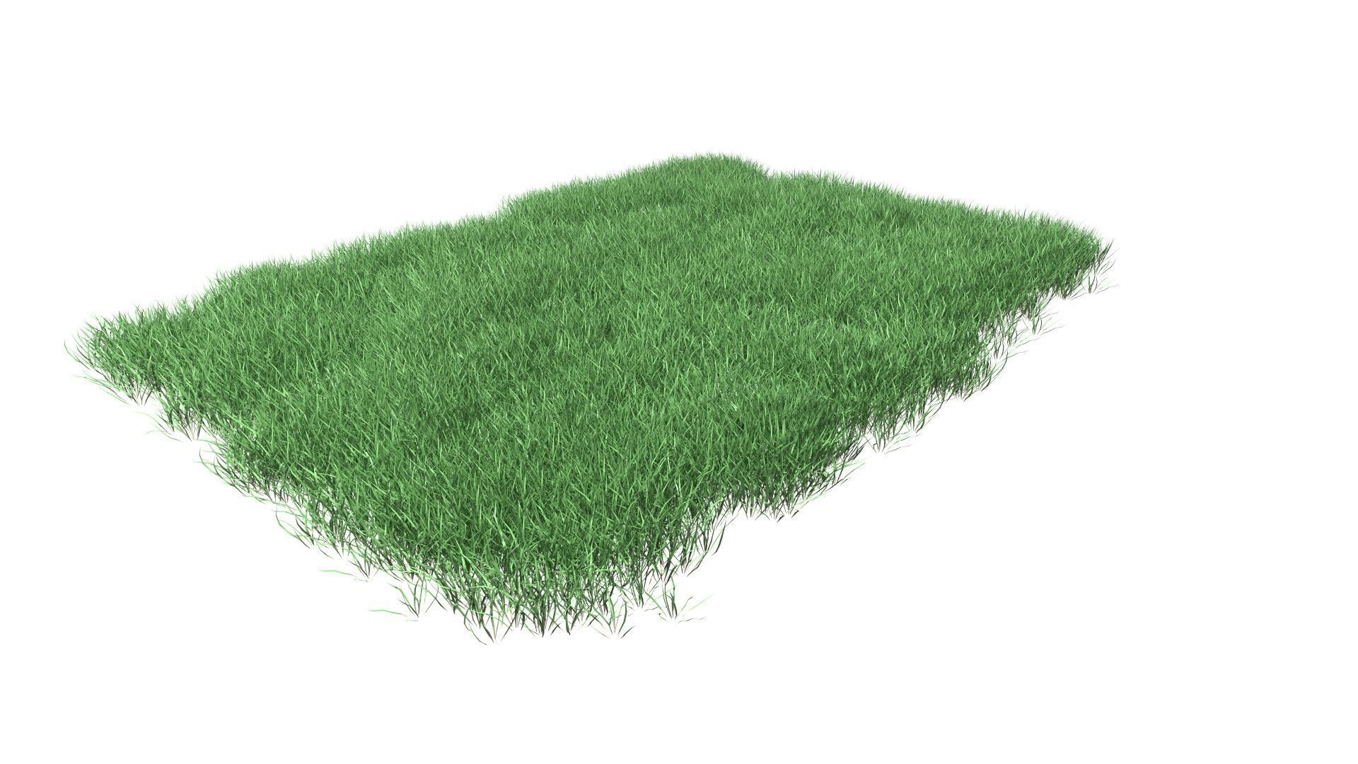 Lawn Grass Model for Exteriors 3D 3D model_34