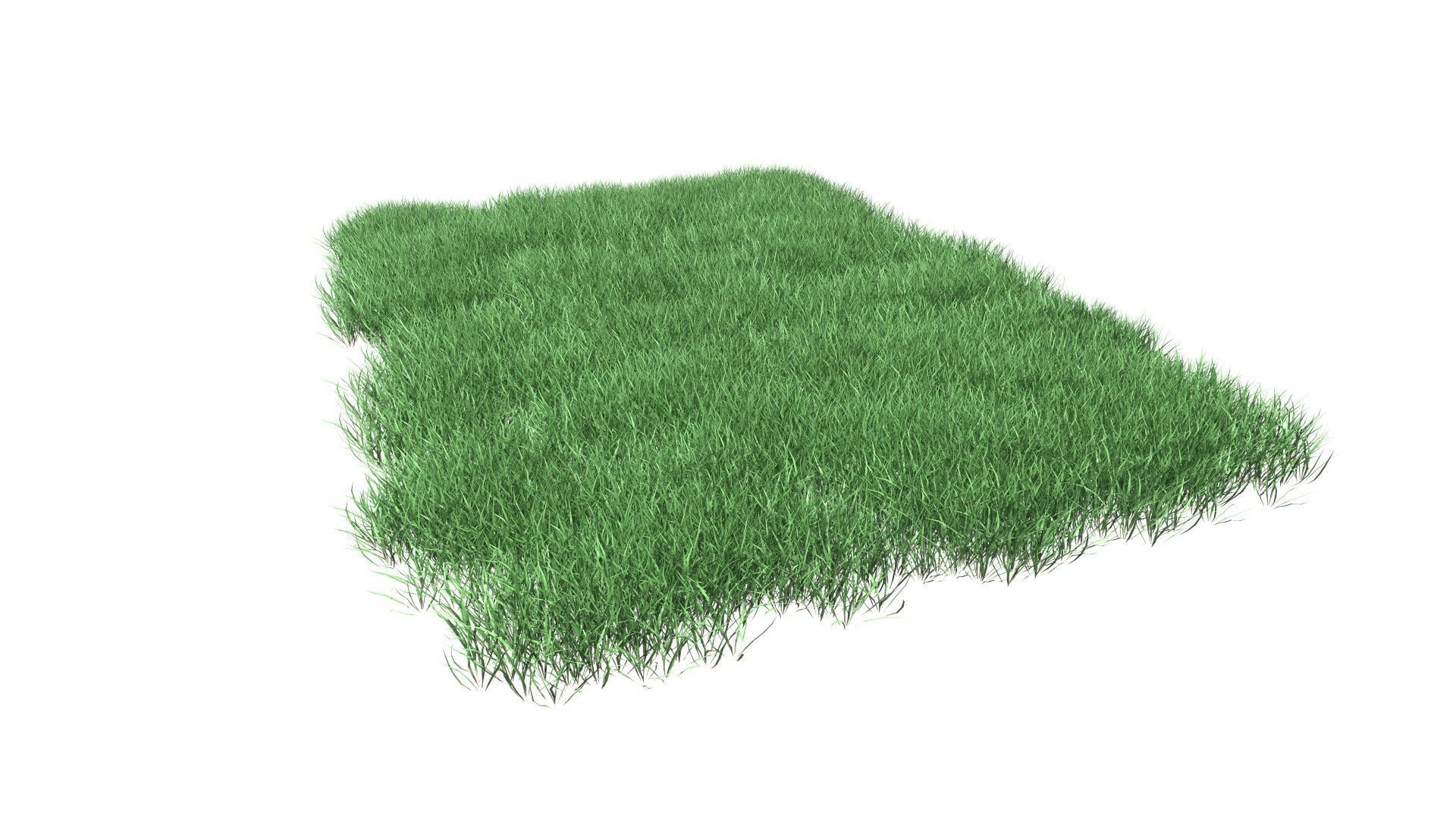 Lawn Grass Model for Exteriors 3D 3D model_96