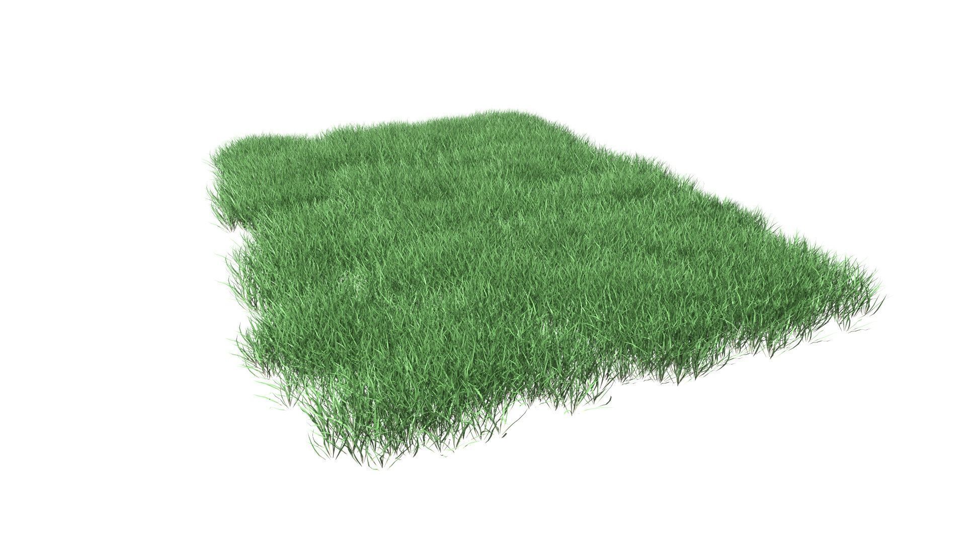 Lawn Grass Model for Exteriors 3D 3D model_97