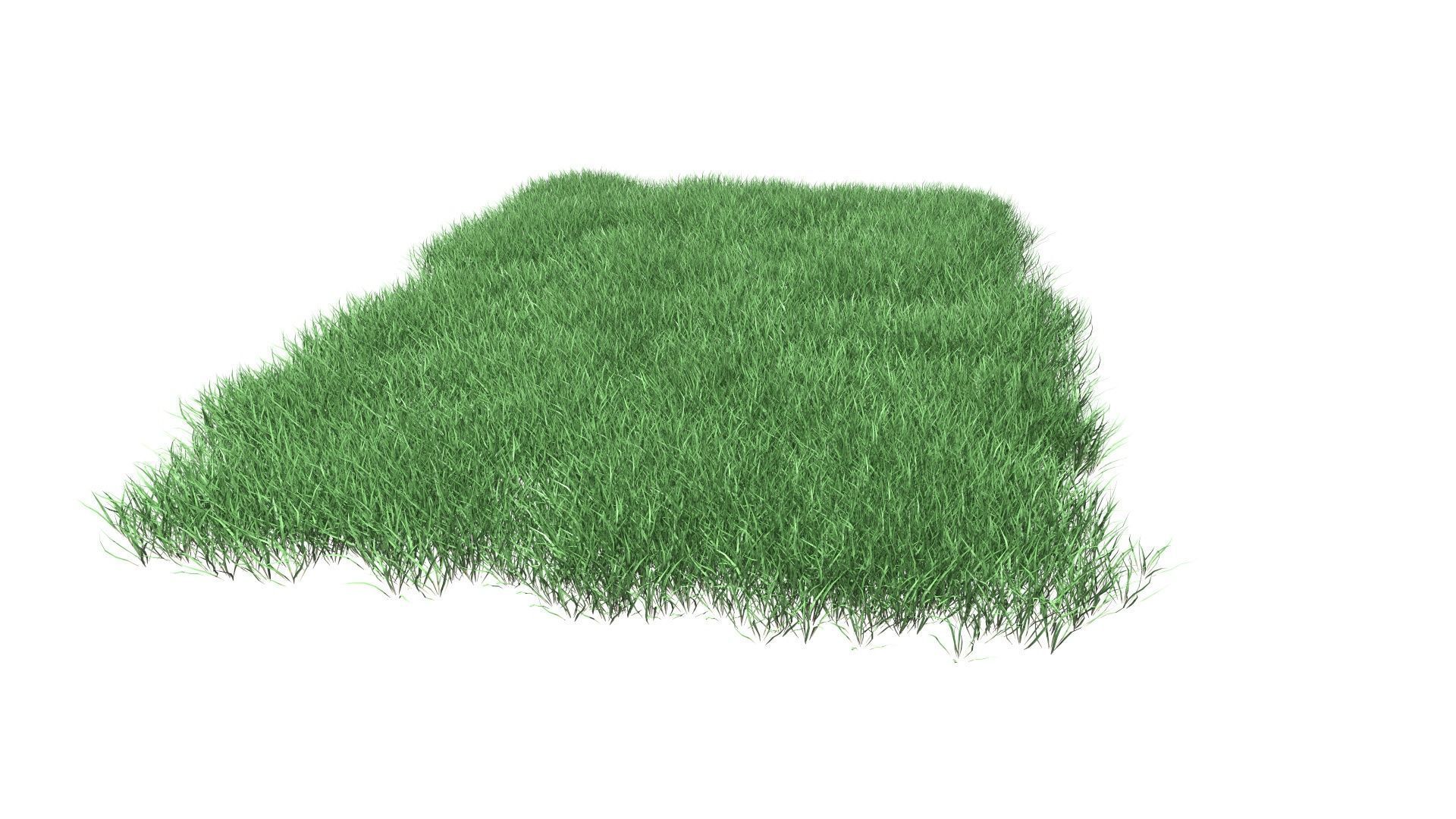Lawn Grass Model for Exteriors 3D 3D model_60