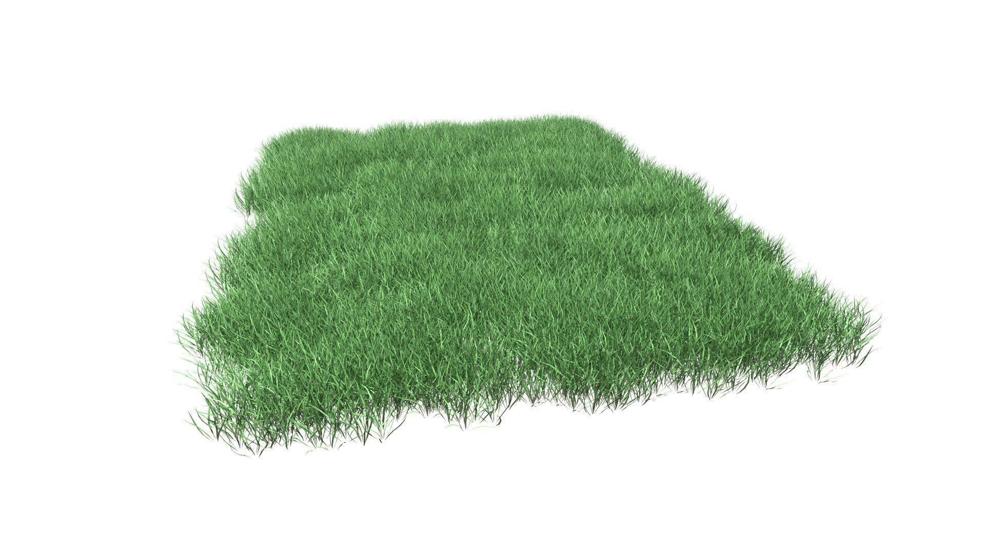 Lawn Grass Model for Exteriors 3D 3D model_87