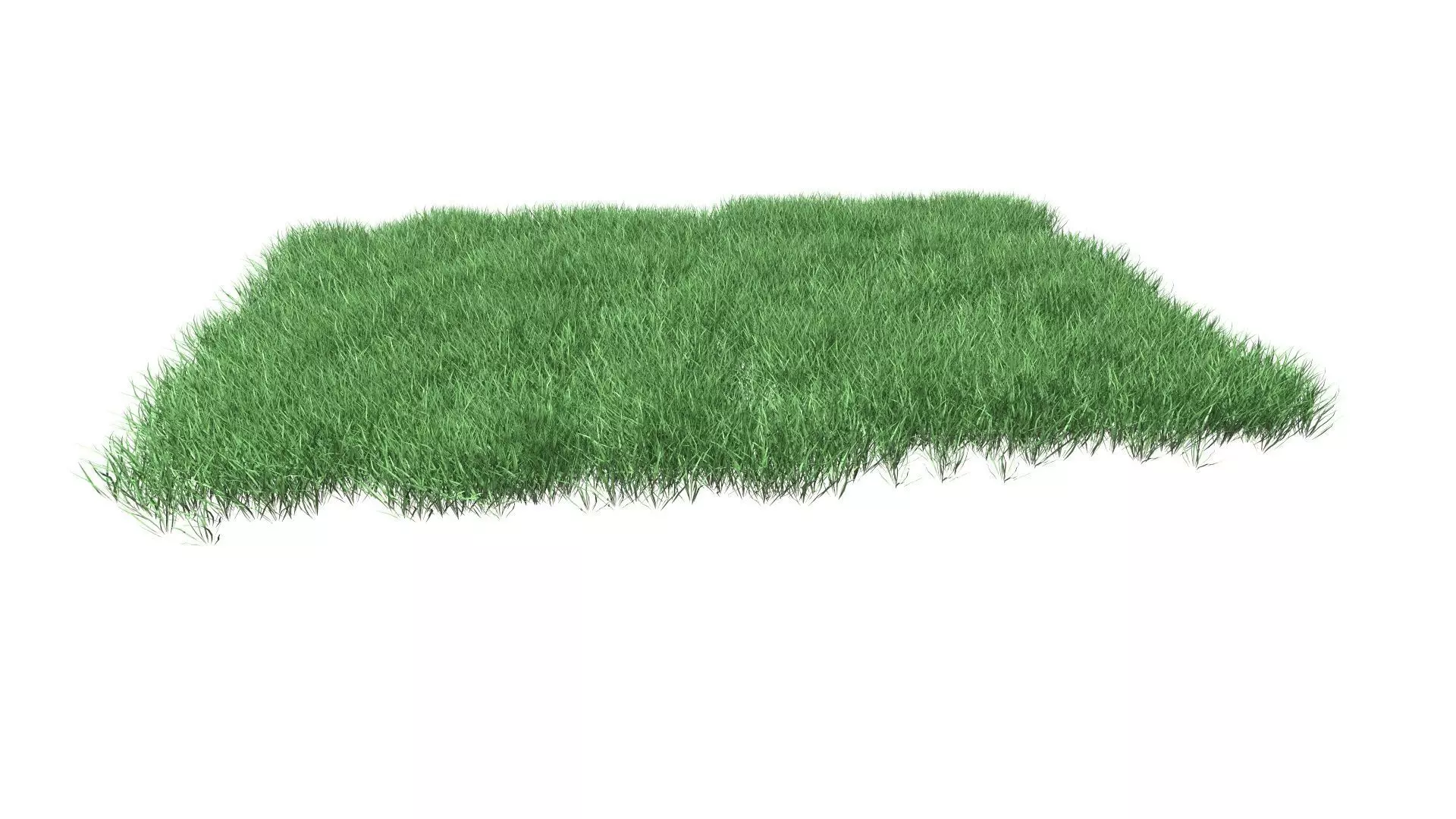 Lawn Grass Model for Exteriors 3D 3D model_0