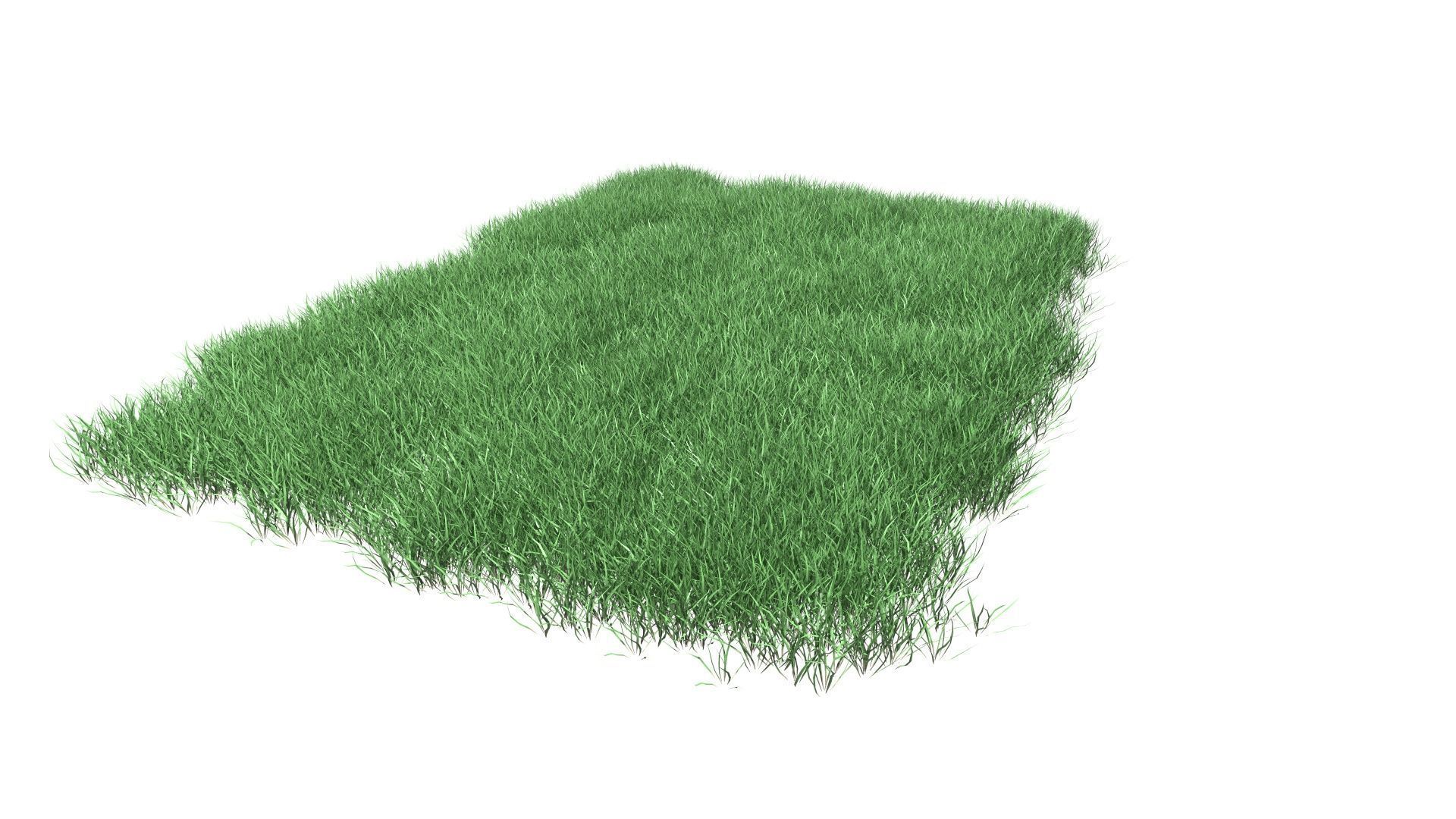 Lawn Grass Model for Exteriors 3D 3D model_48