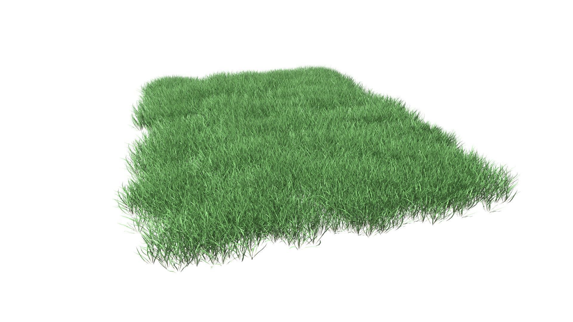 Lawn Grass Model for Exteriors 3D 3D model_91