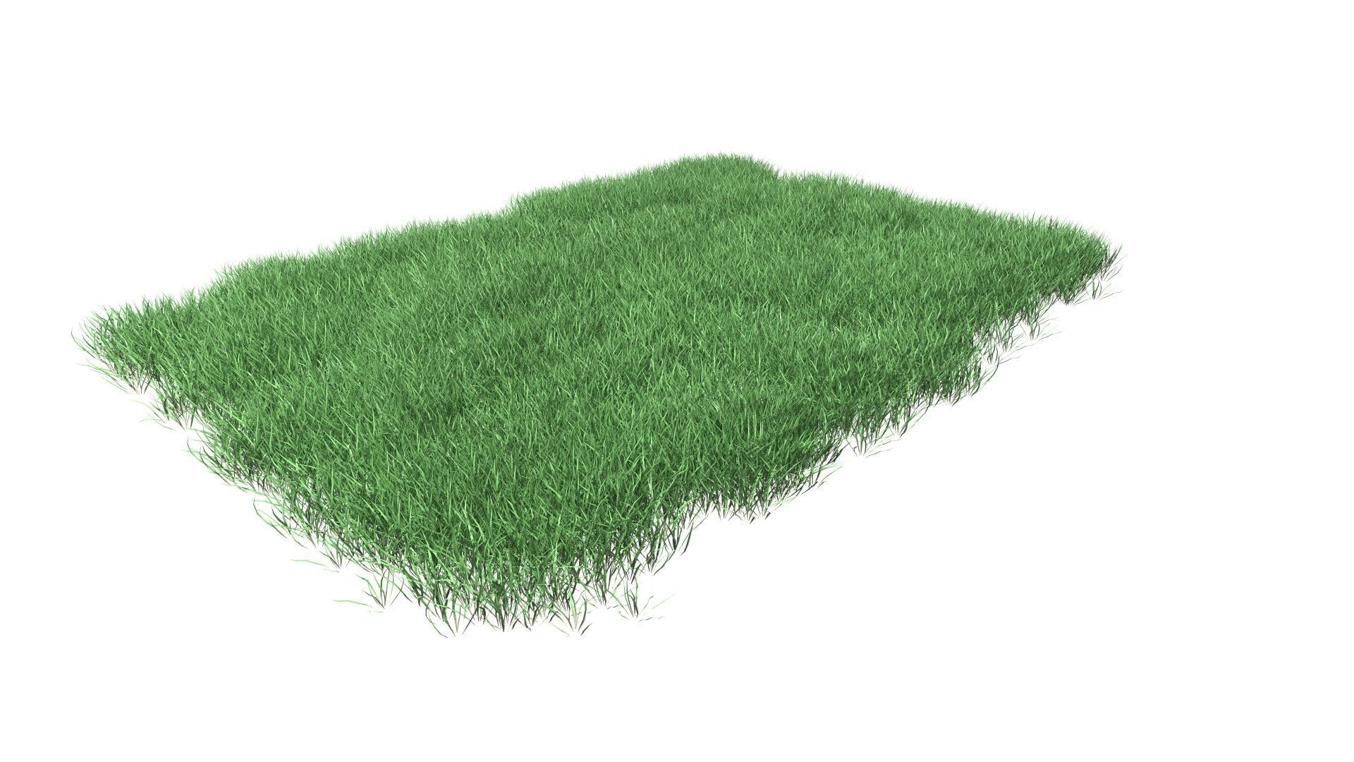 Lawn Grass Model for Exteriors 3D 3D model_32