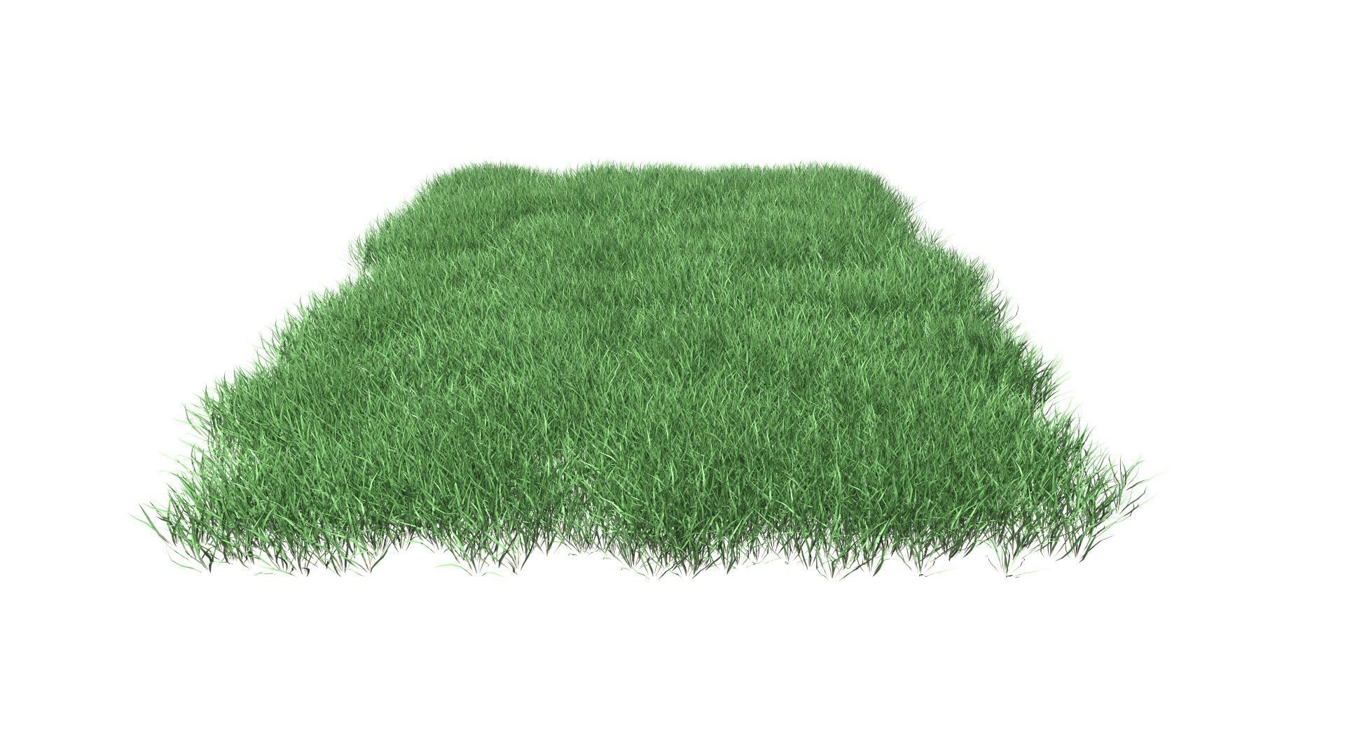 Lawn Grass Model for Exteriors 3D 3D model_73