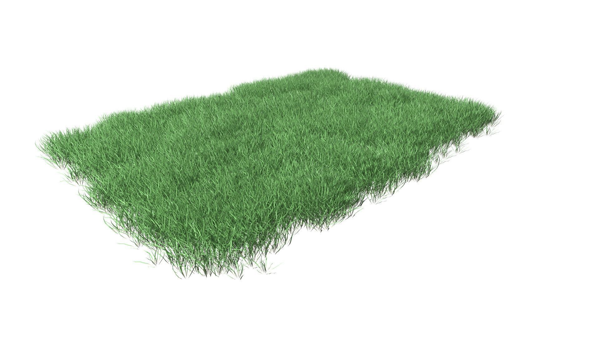 Lawn Grass Model for Exteriors 3D 3D model_30