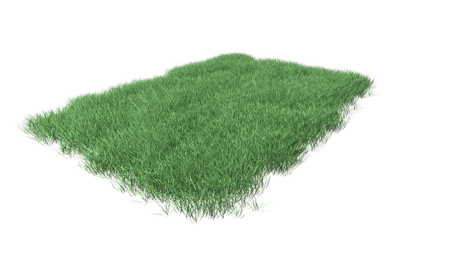 Lawn Grass Model for Exteriors 3D 3D model_38