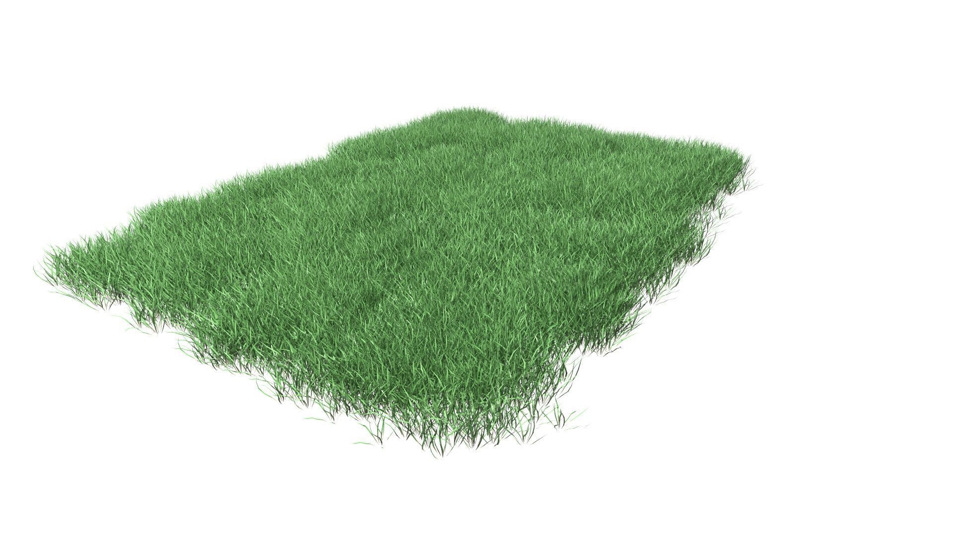 Lawn Grass Model for Exteriors 3D 3D model_41