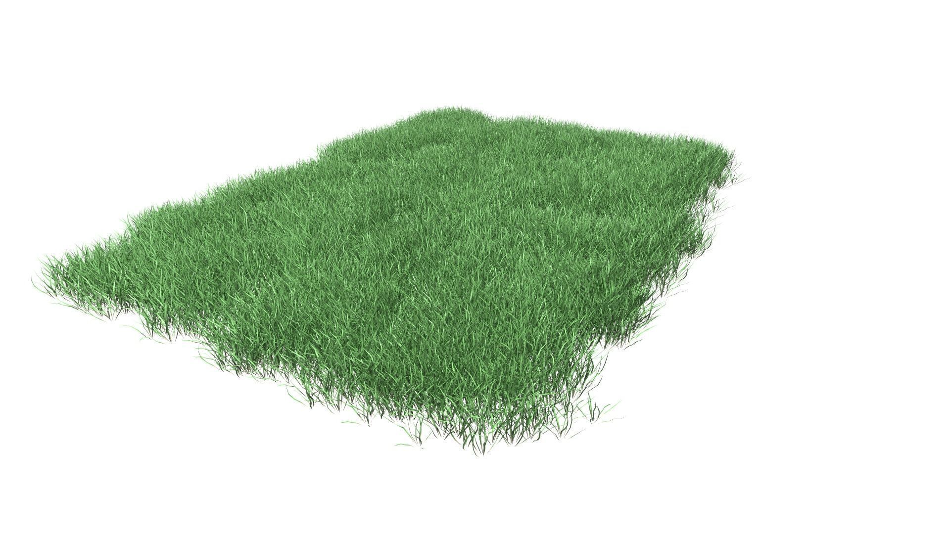 Lawn Grass Model for Exteriors 3D 3D model_44