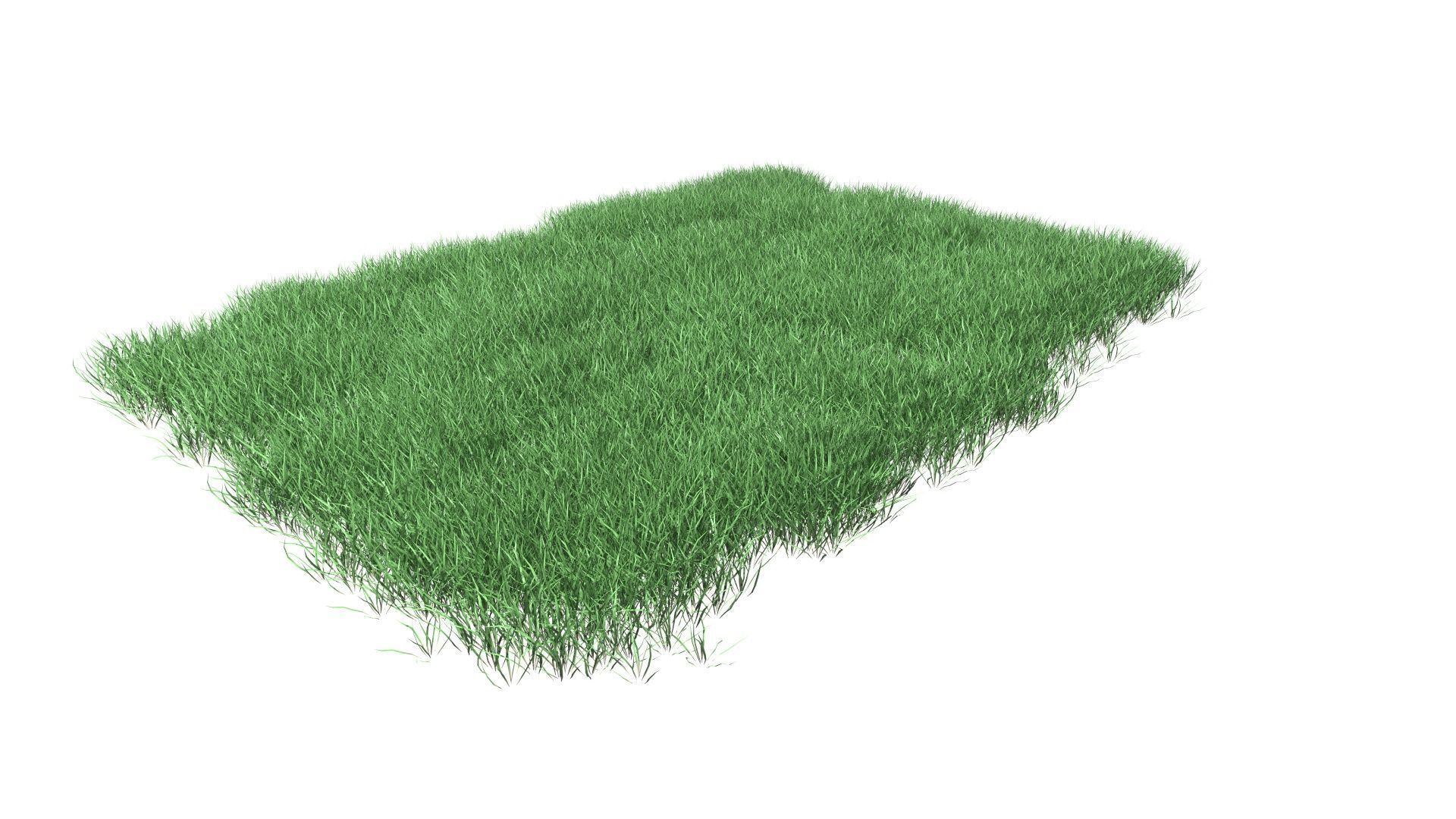 Lawn Grass Model for Exteriors 3D 3D model_33