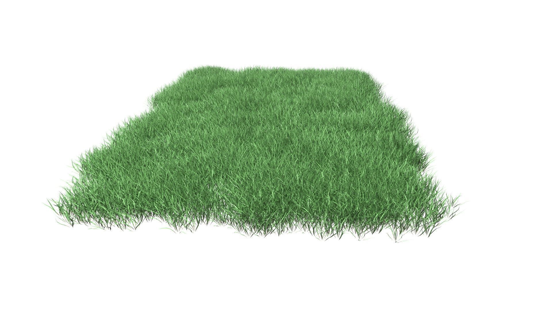 Lawn Grass Model for Exteriors 3D 3D model_67