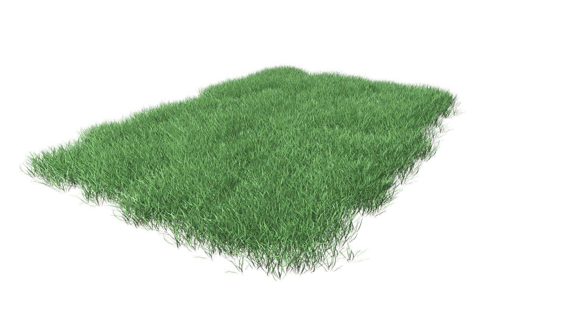 Lawn Grass Model for Exteriors 3D 3D model_42