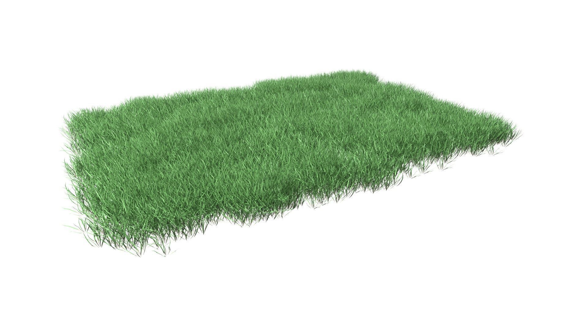 Lawn Grass Model for Exteriors 3D 3D model_17