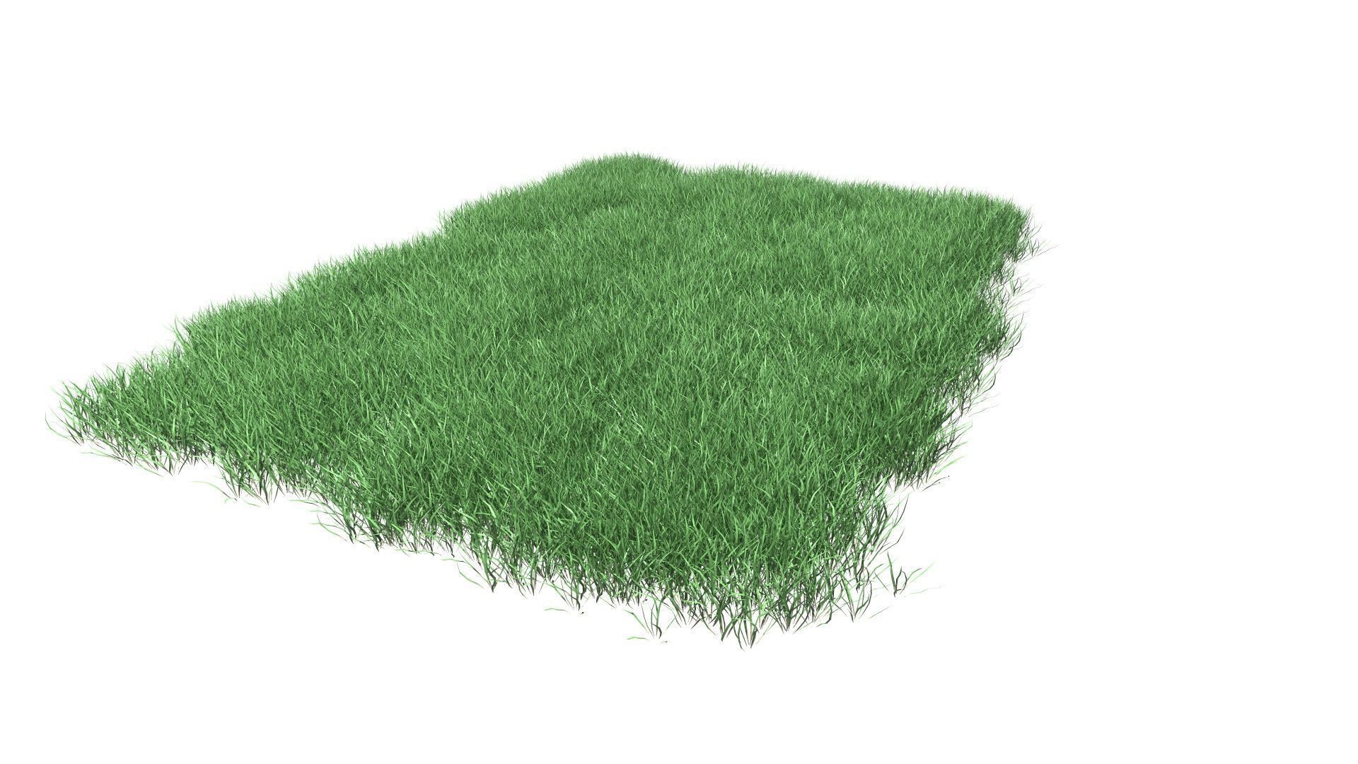 Lawn Grass Model for Exteriors 3D 3D model_47