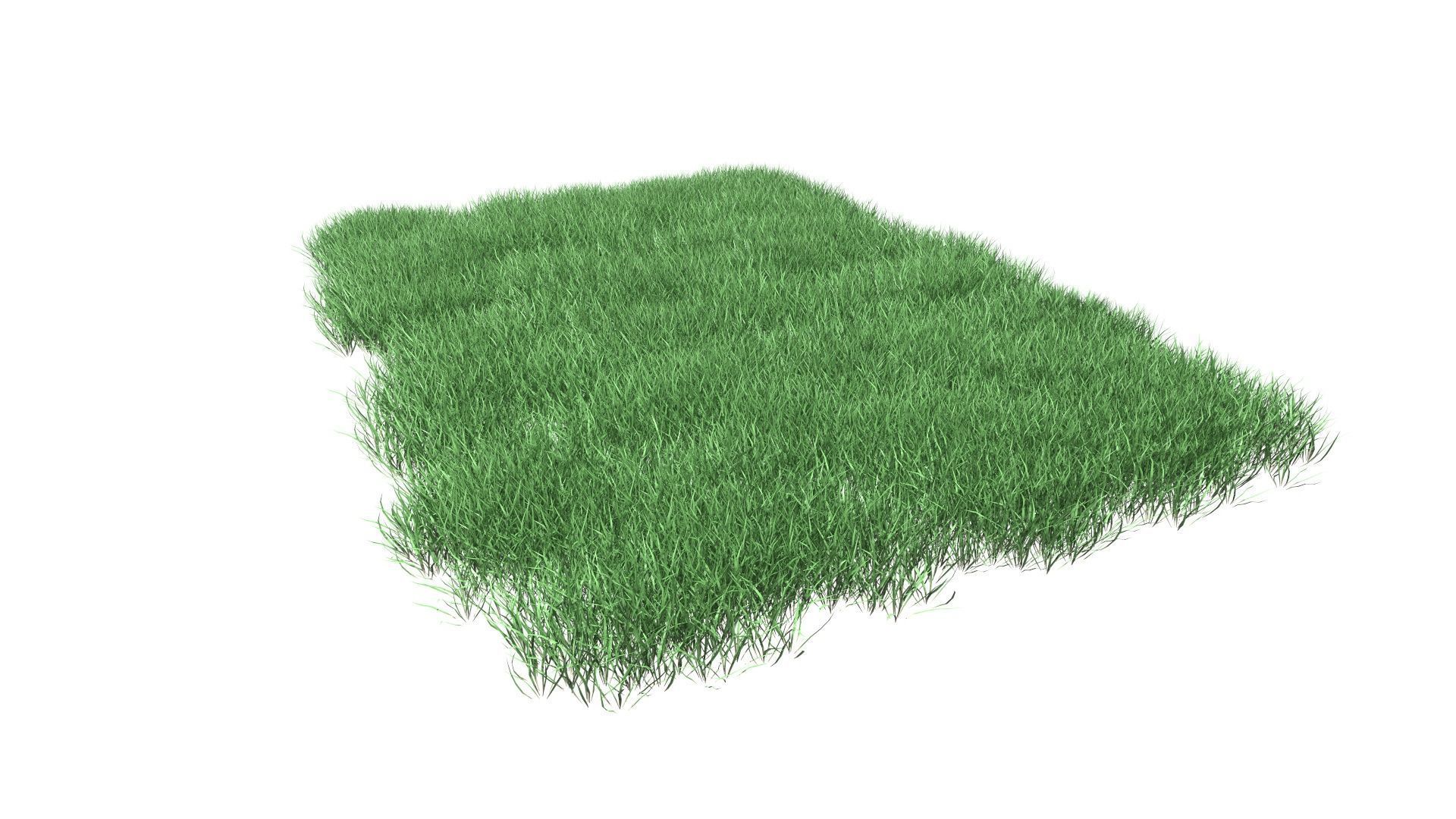 Lawn Grass Model for Exteriors 3D 3D model_99