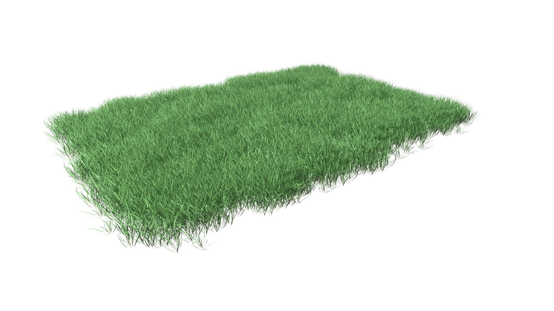 Lawn Grass Model for Exteriors 3D 3D model_24