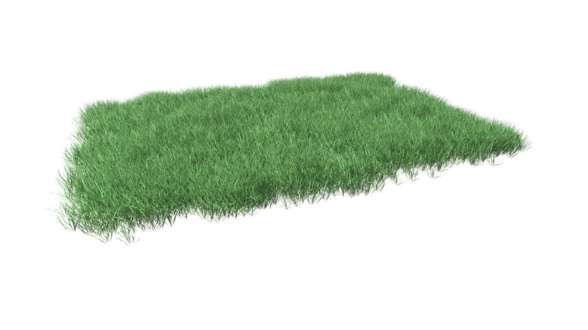 Lawn Grass Model for Exteriors 3D 3D model_11