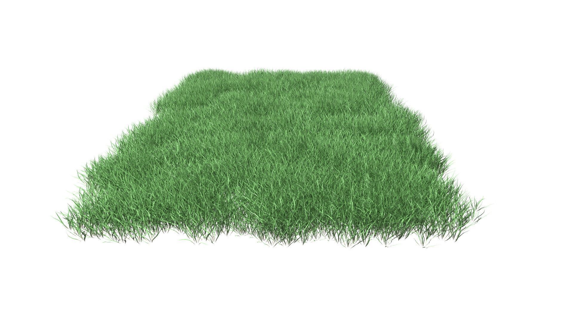 Lawn Grass Model for Exteriors 3D 3D model_72