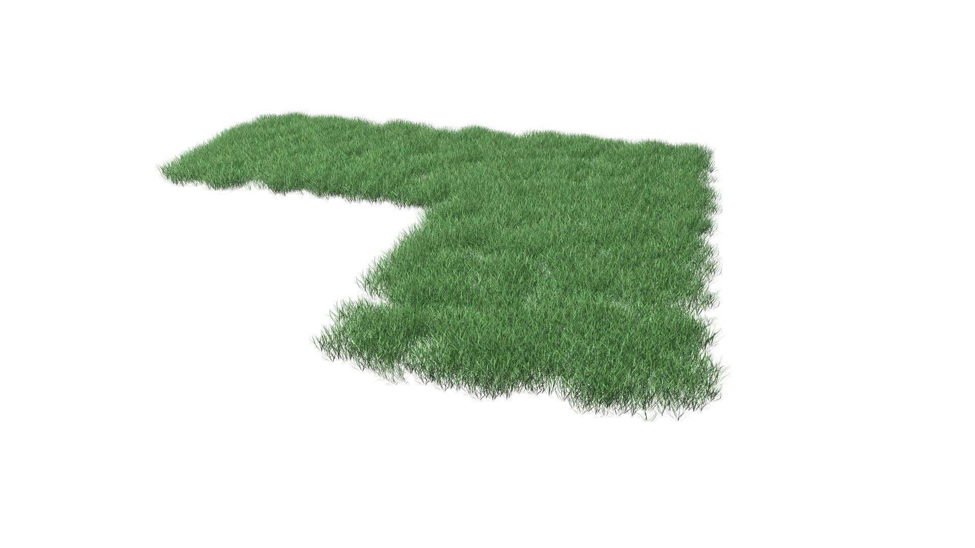 Realistic Lawn Grass Patch 3D model_45