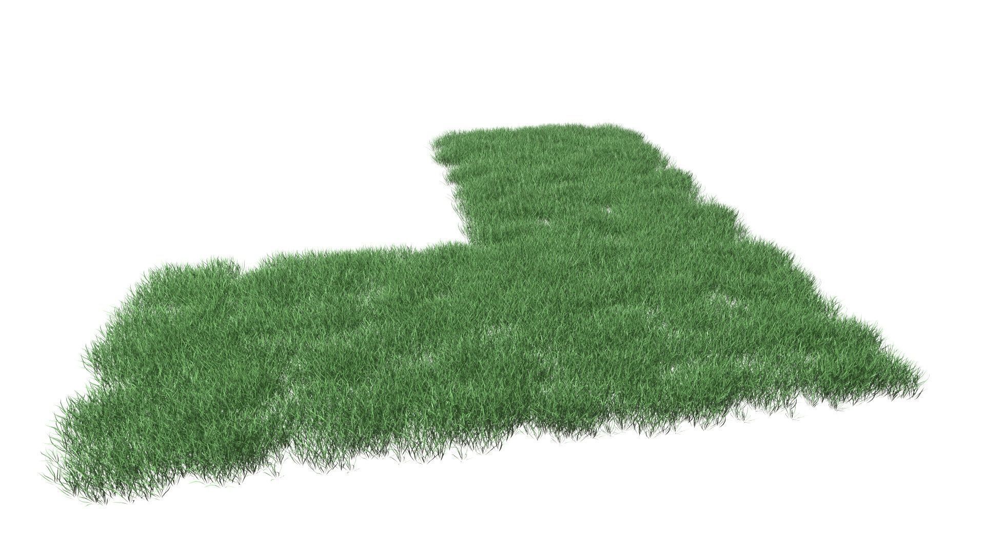 Realistic Lawn Grass Patch 3D model_9