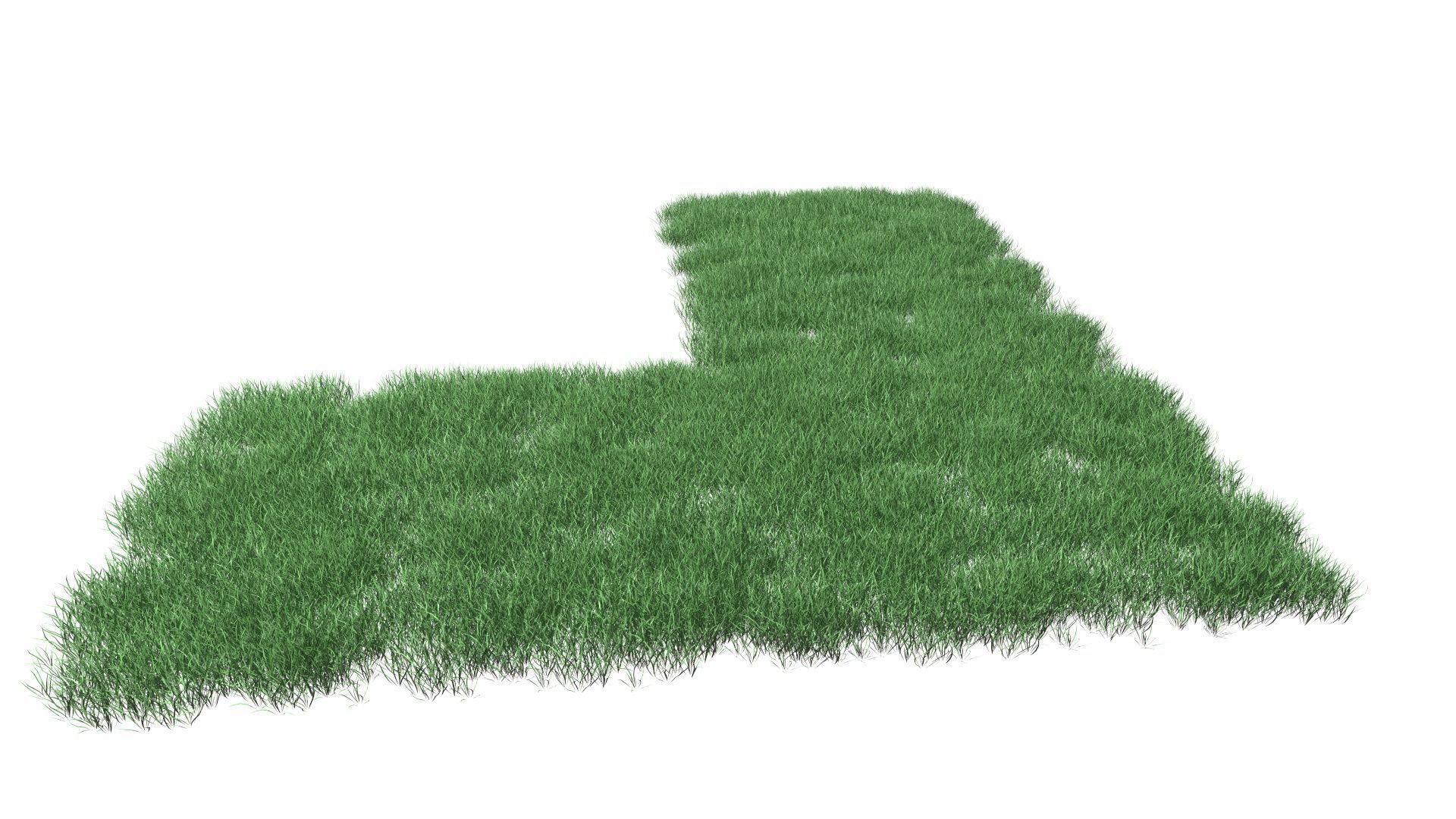 Realistic Lawn Grass Patch 3D model_8