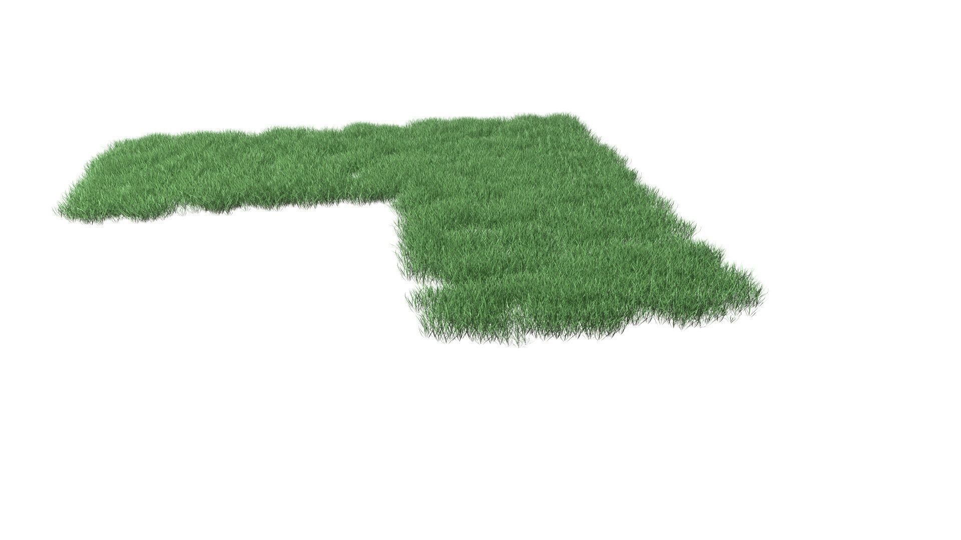 Realistic Lawn Grass Patch 3D model_59