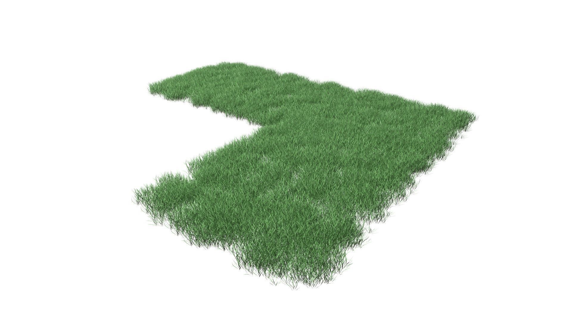 Realistic Lawn Grass Patch 3D model_34