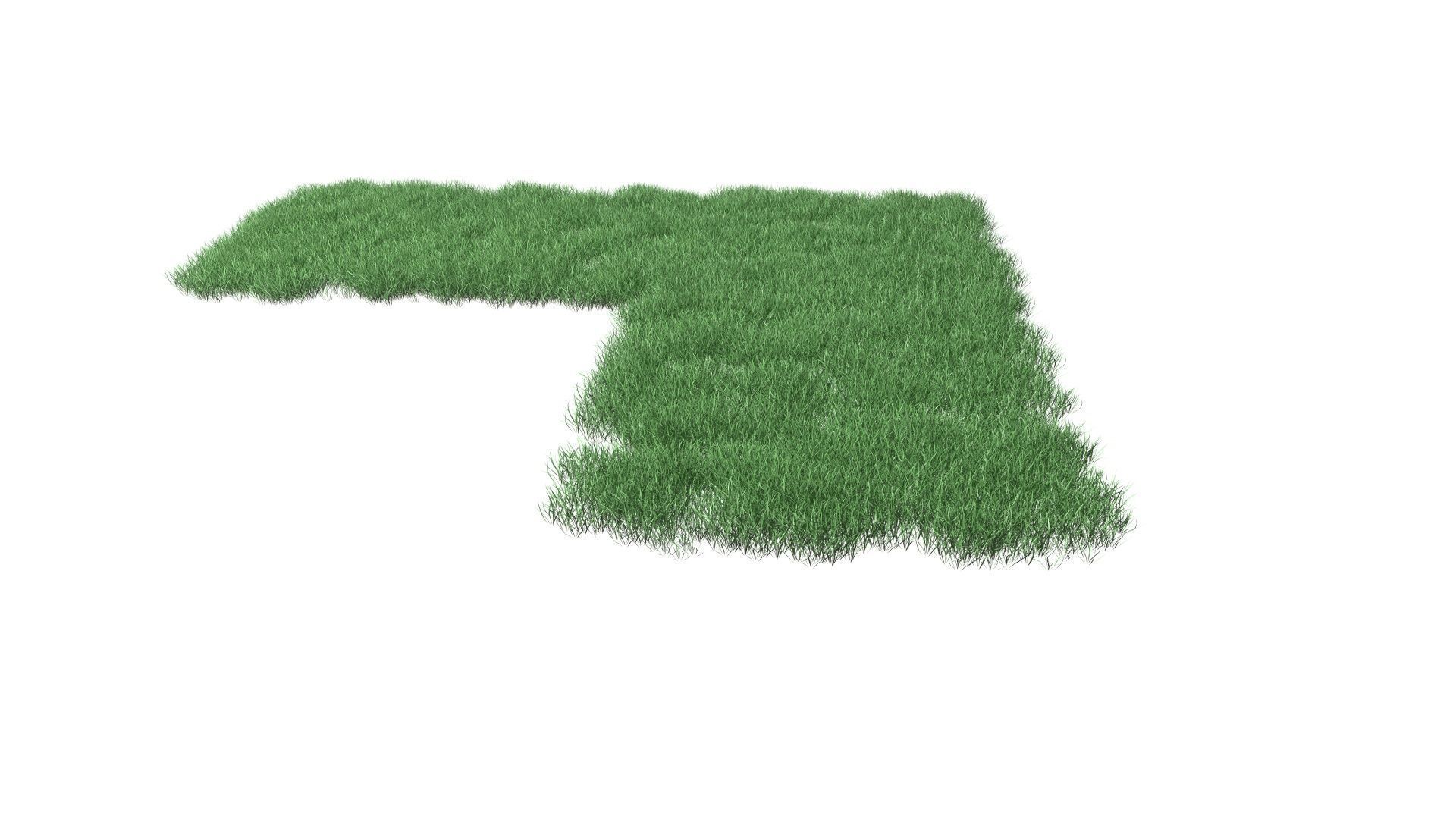 Realistic Lawn Grass Patch 3D model_52