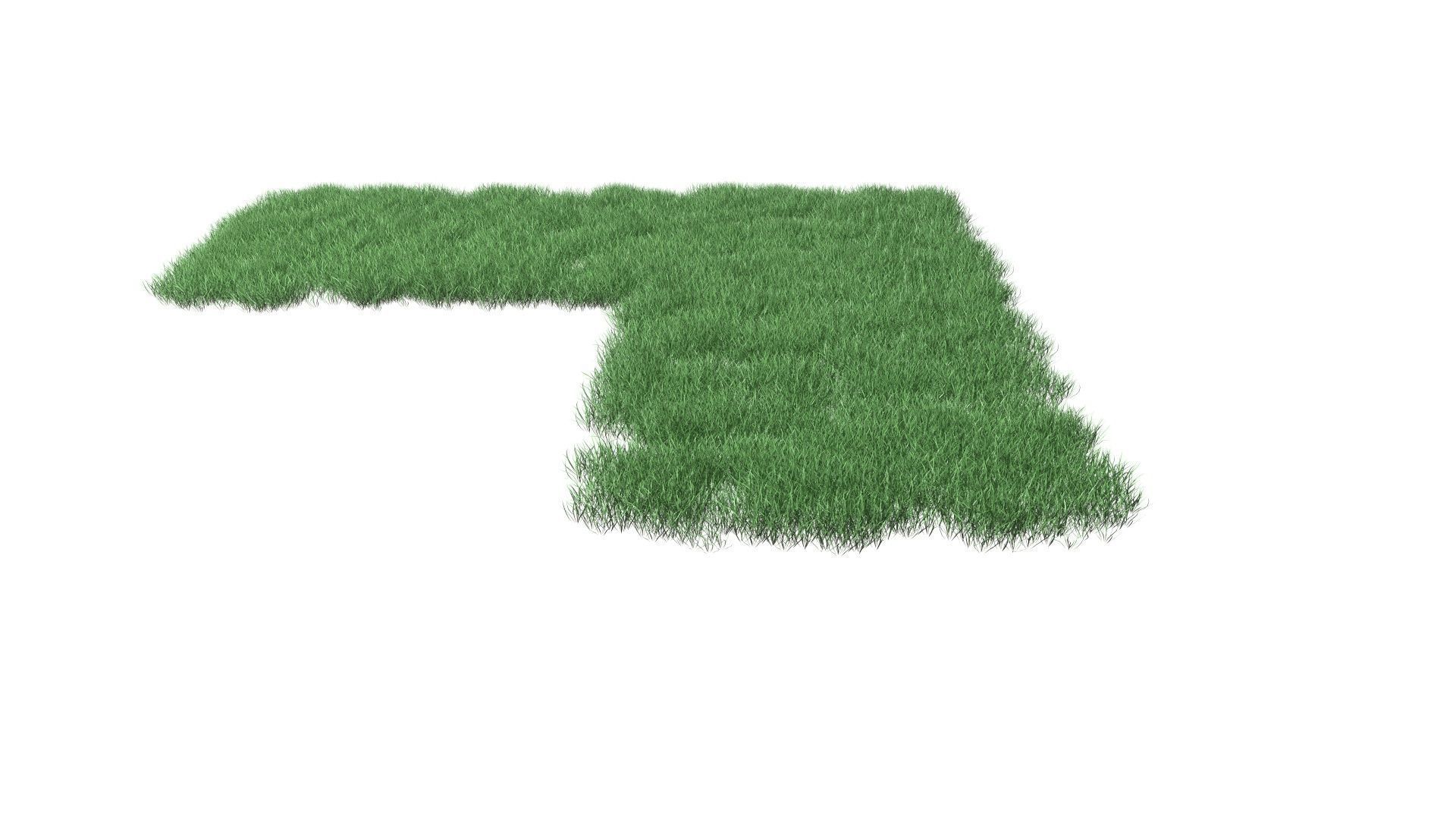 Realistic Lawn Grass Patch 3D model_54