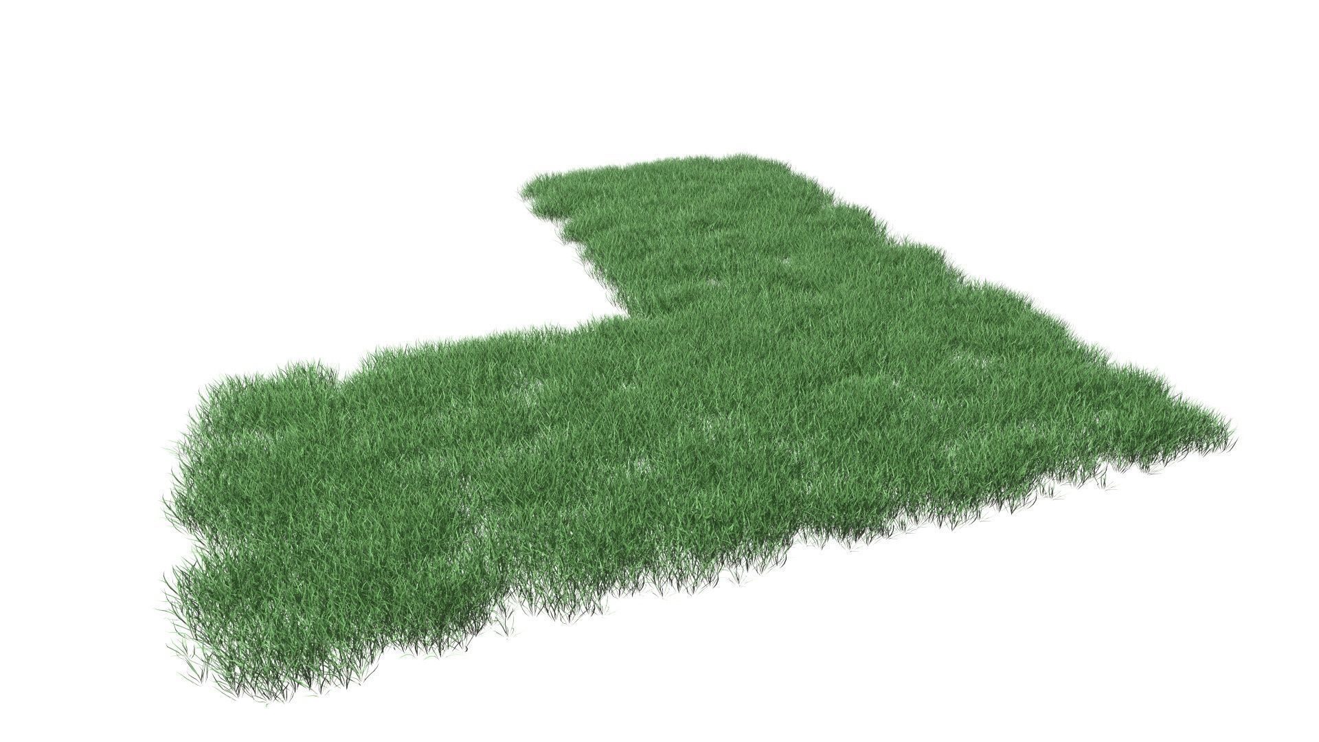 Realistic Lawn Grass Patch 3D model_16