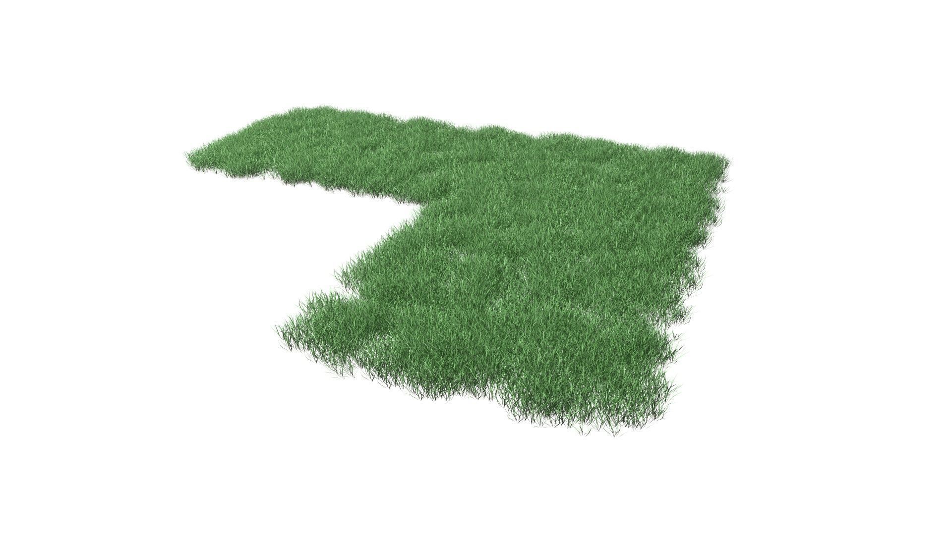 Realistic Lawn Grass Patch 3D model_41