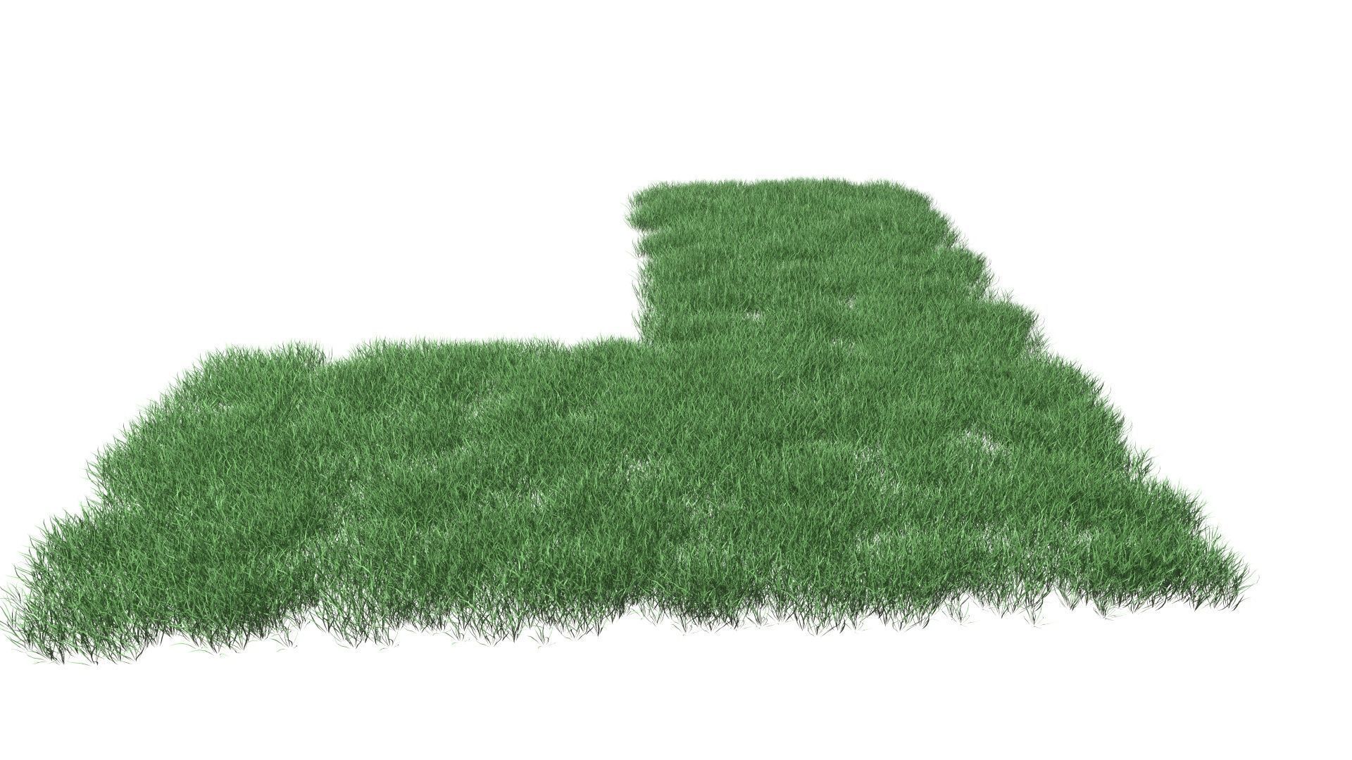 Realistic Lawn Grass Patch 3D model_6