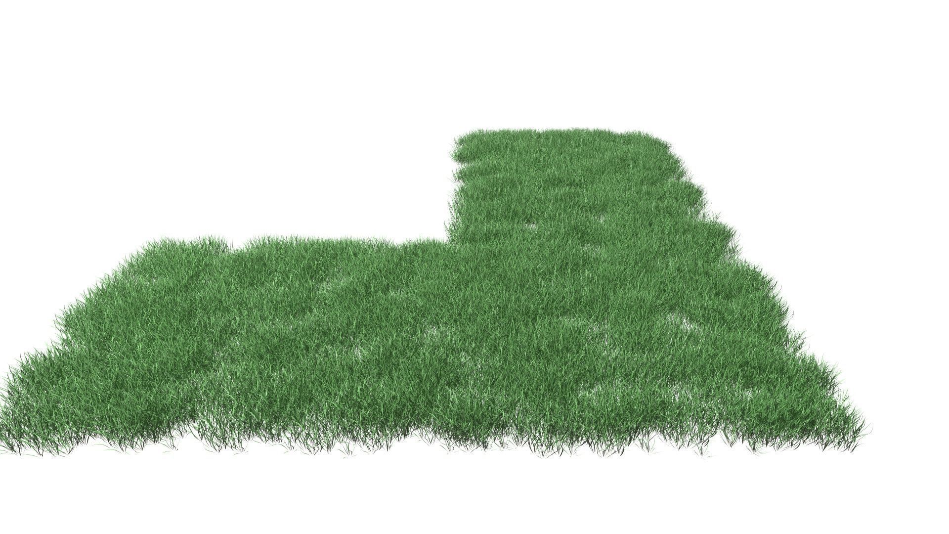 Realistic Lawn Grass Patch 3D model_3