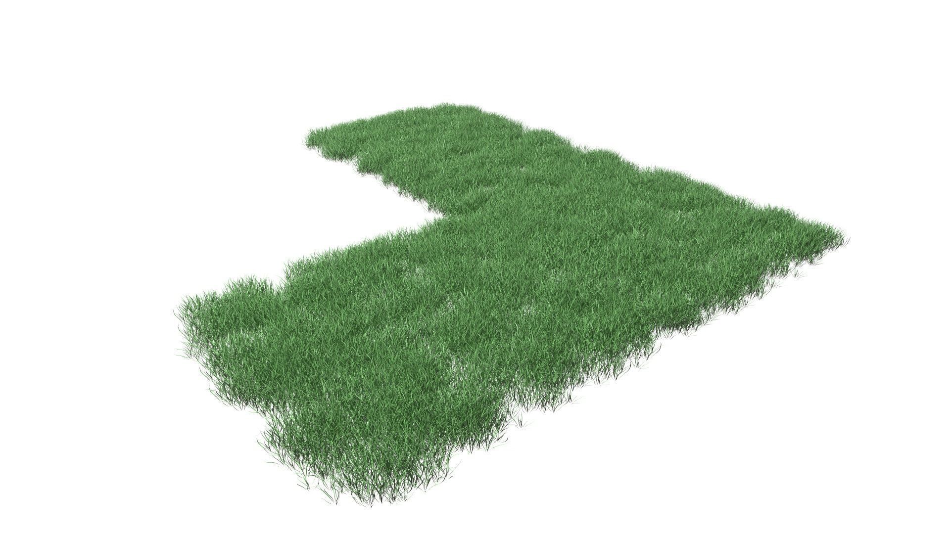 Realistic Lawn Grass Patch 3D model_25