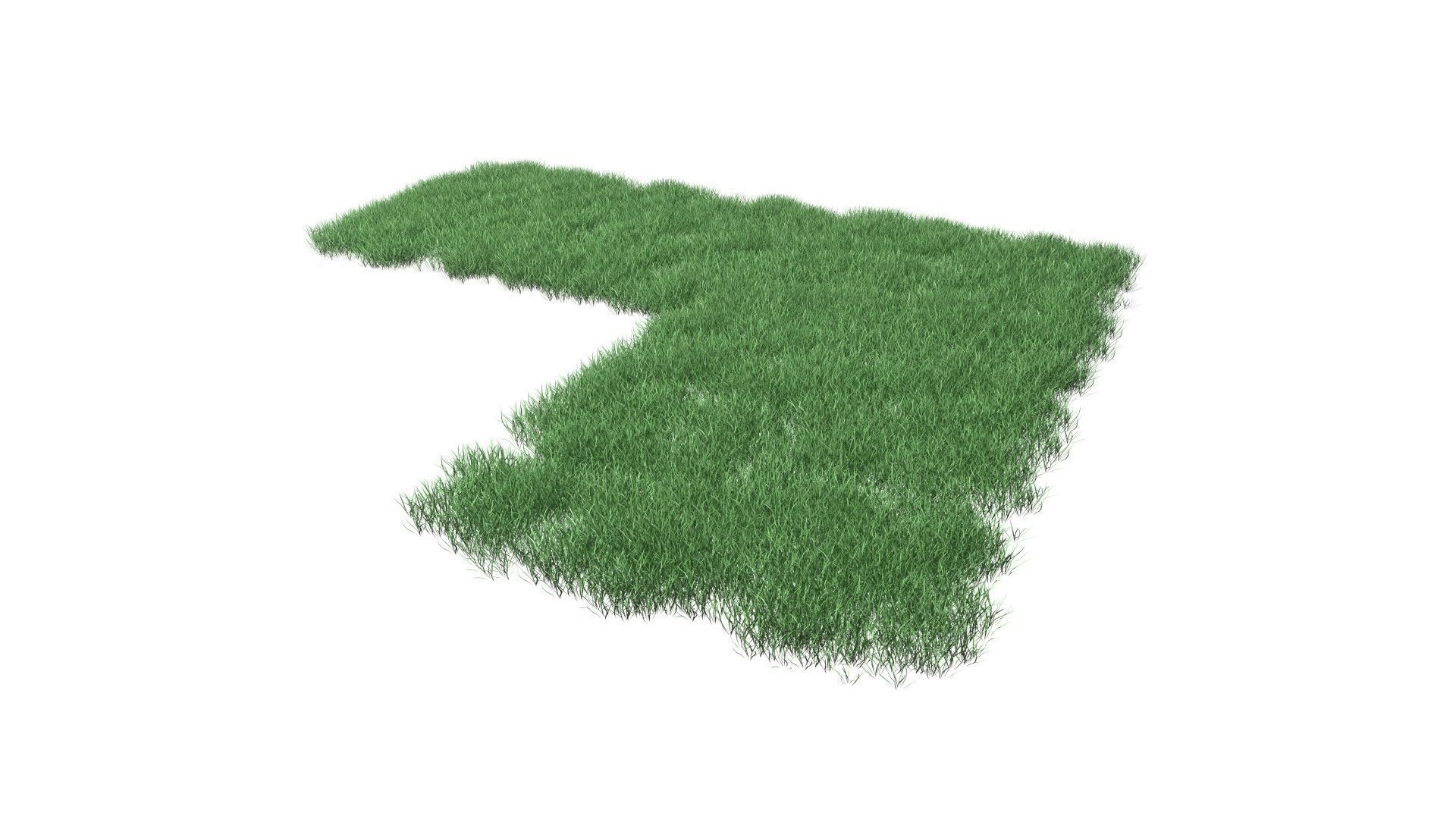 Realistic Lawn Grass Patch 3D model_39