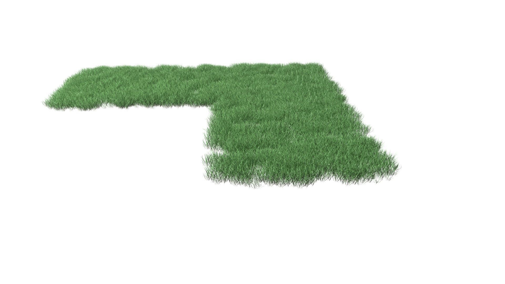 Realistic Lawn Grass Patch 3D model_55