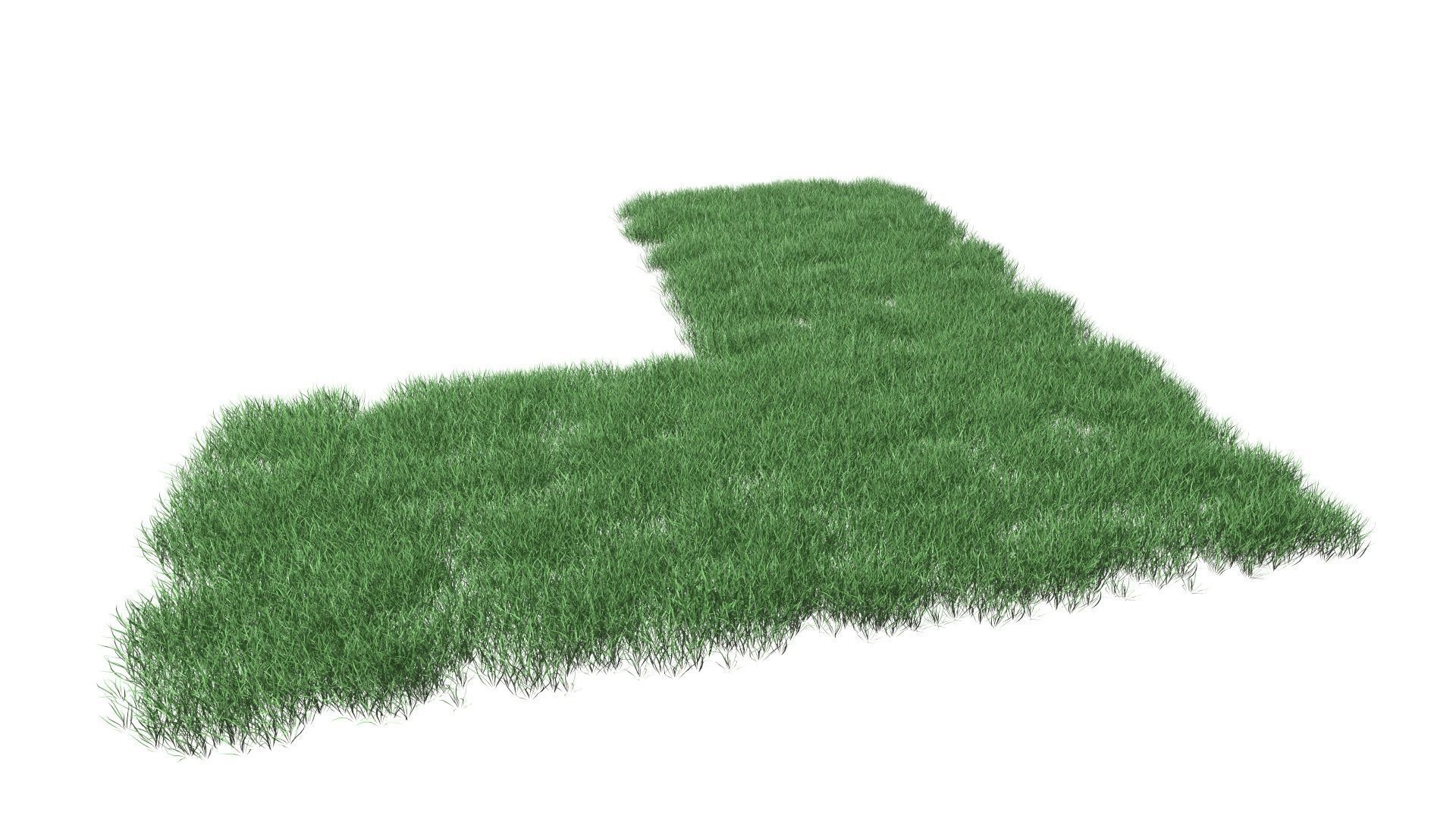 Realistic Lawn Grass Patch 3D model_12
