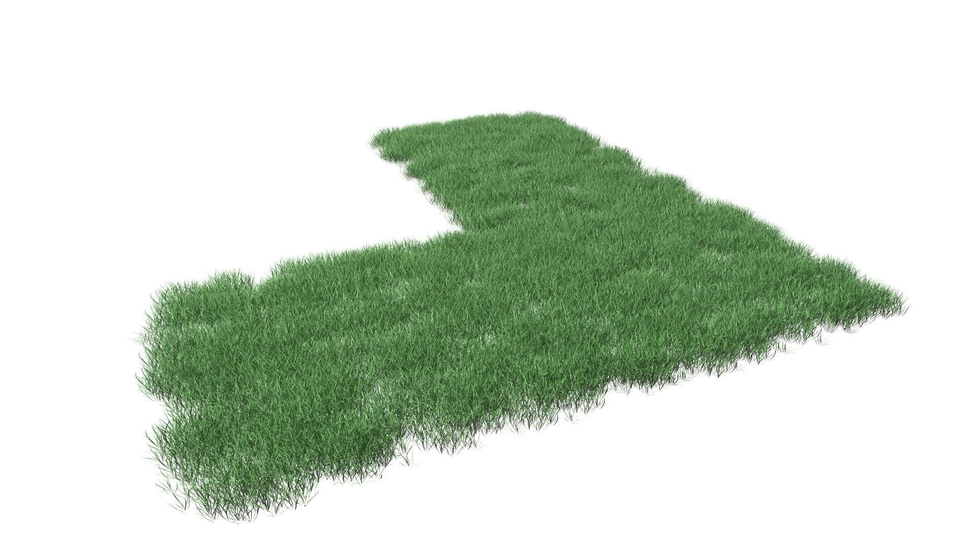 Realistic Lawn Grass Patch 3D model_17