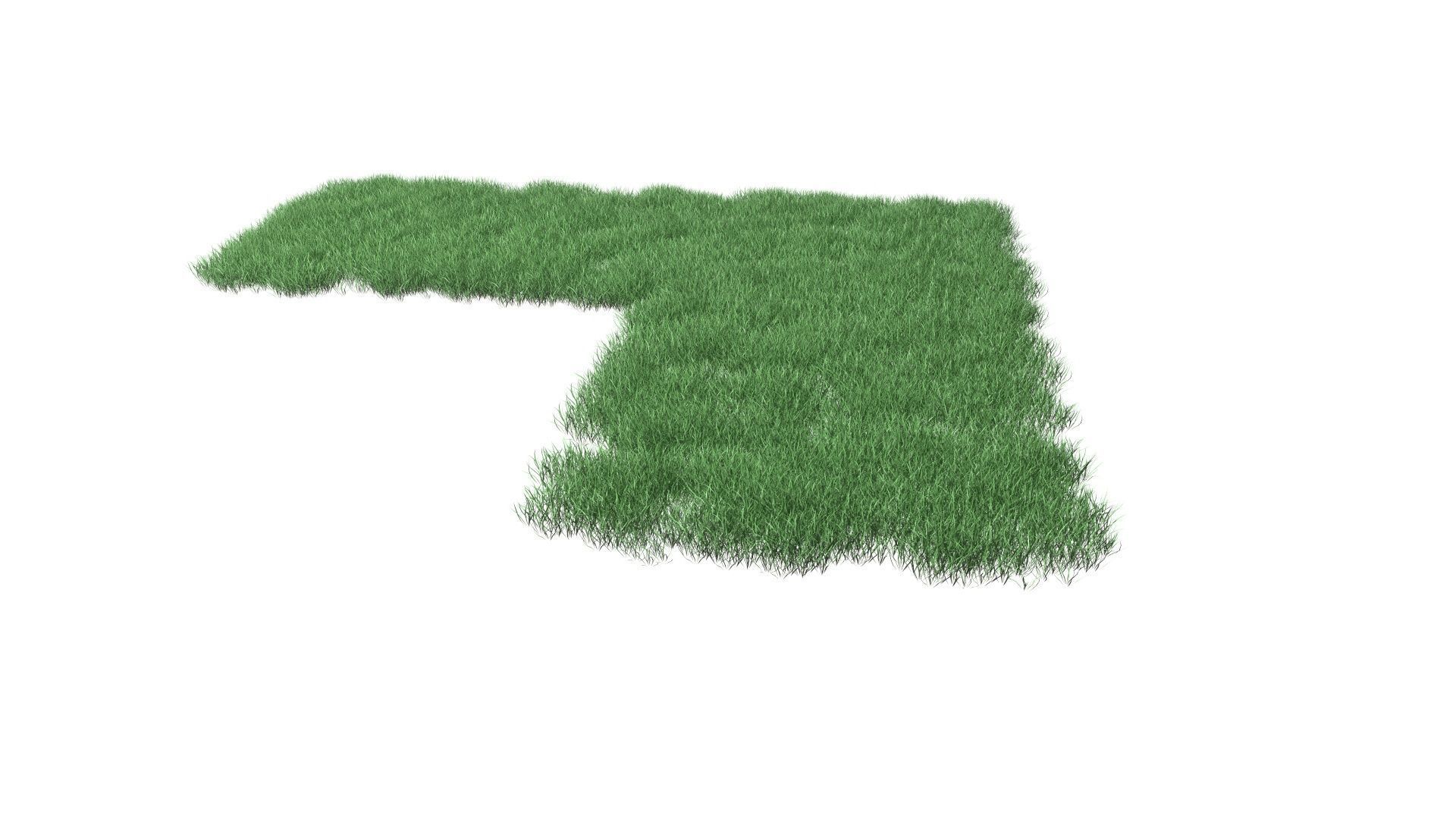 Realistic Lawn Grass Patch 3D model_50