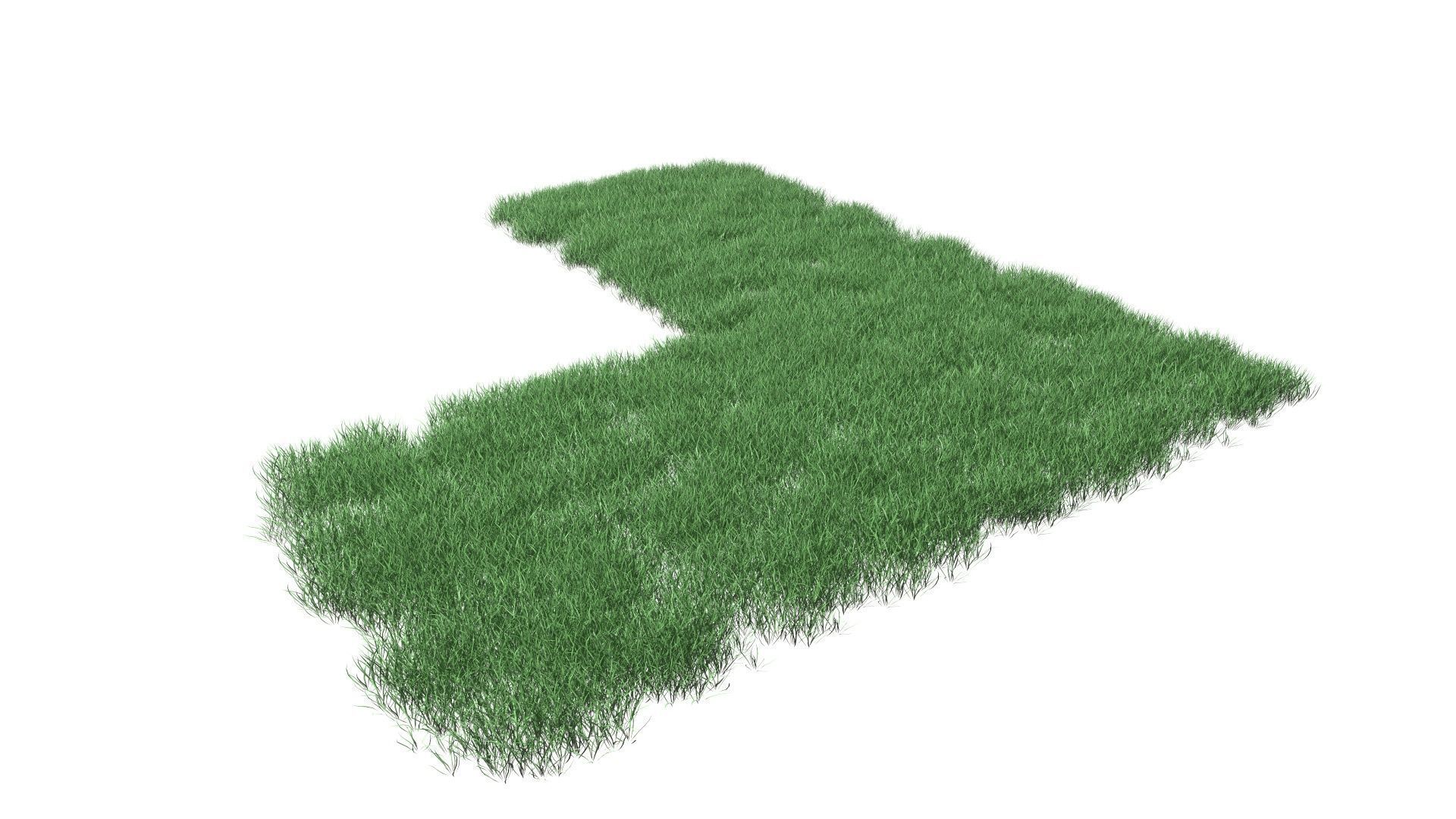 Realistic Lawn Grass Patch 3D model_24