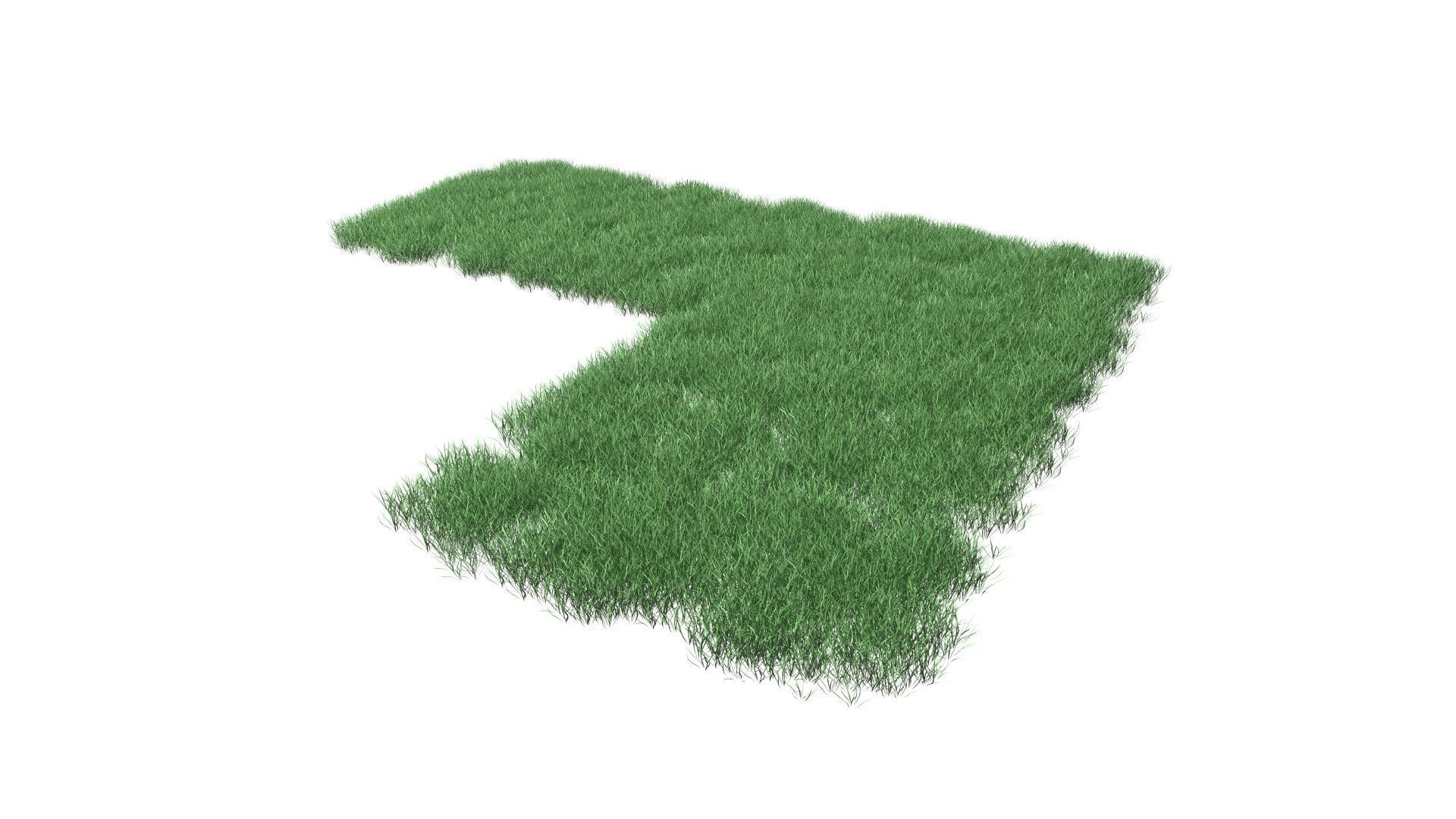 Realistic Lawn Grass Patch 3D model_37