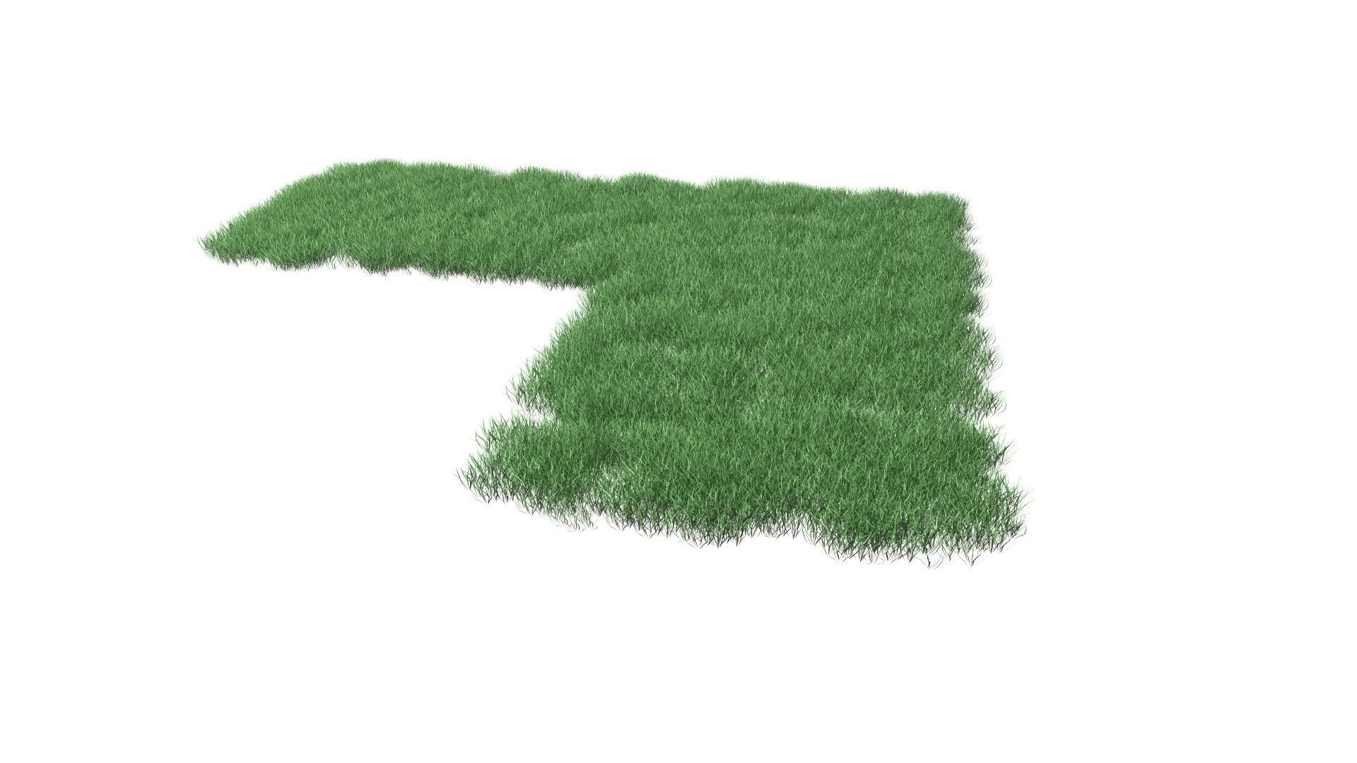 Realistic Lawn Grass Patch 3D model_47